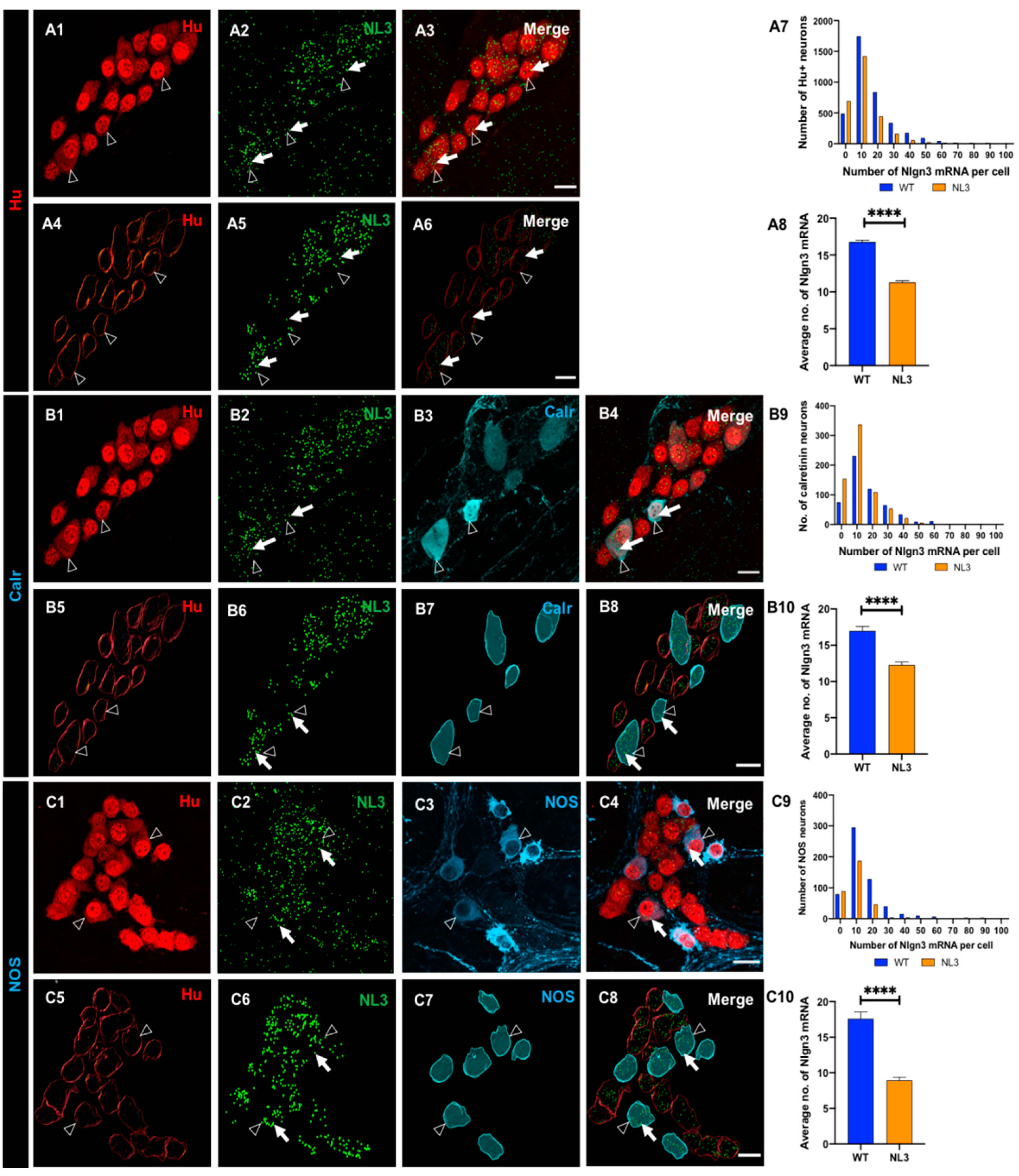 Preprints 76813 g007