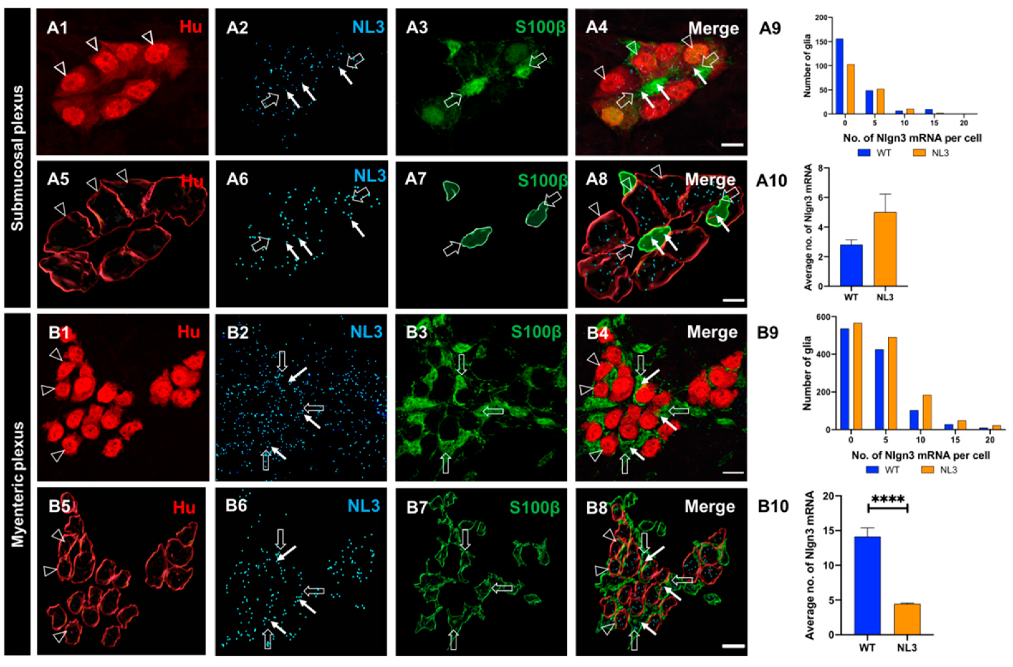 Preprints 76813 g008