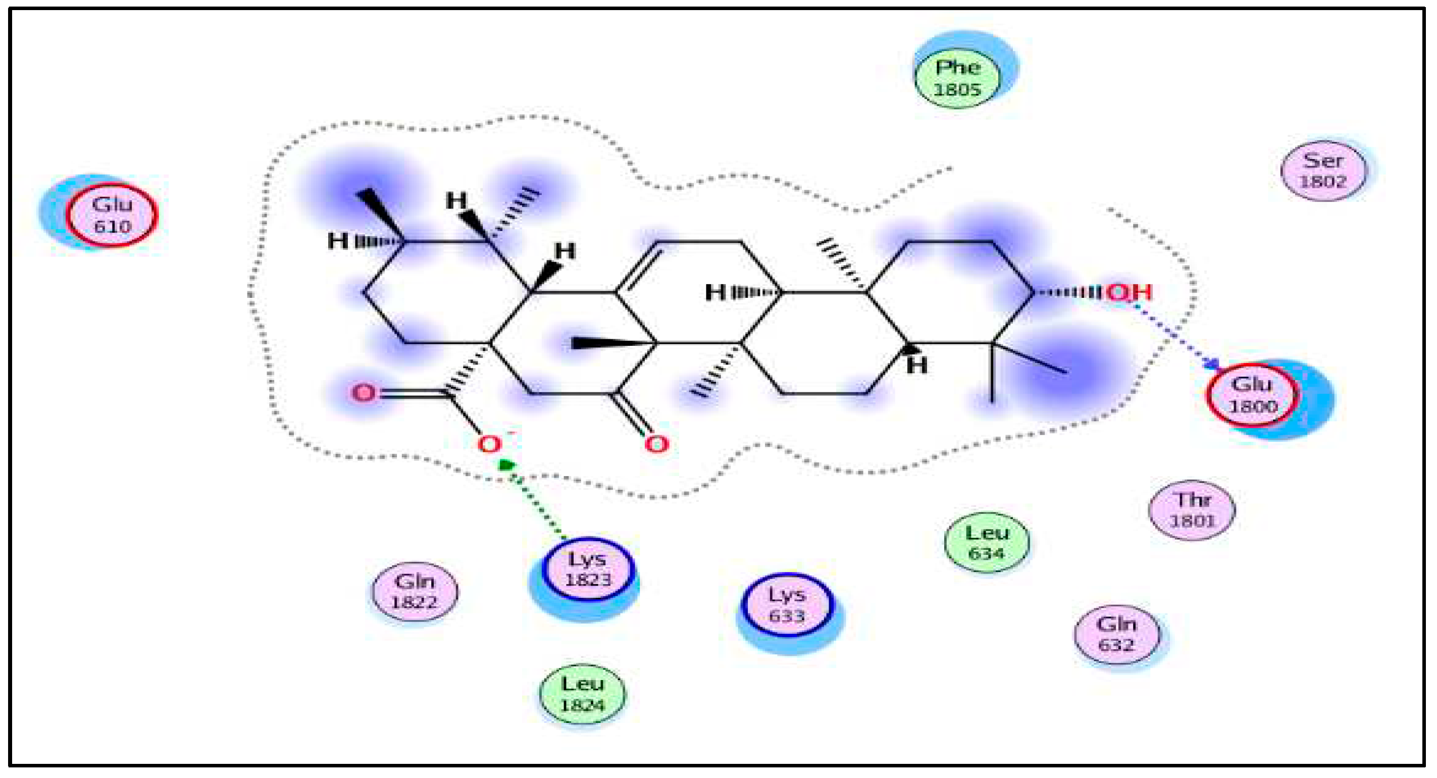 Preprints 98579 g005