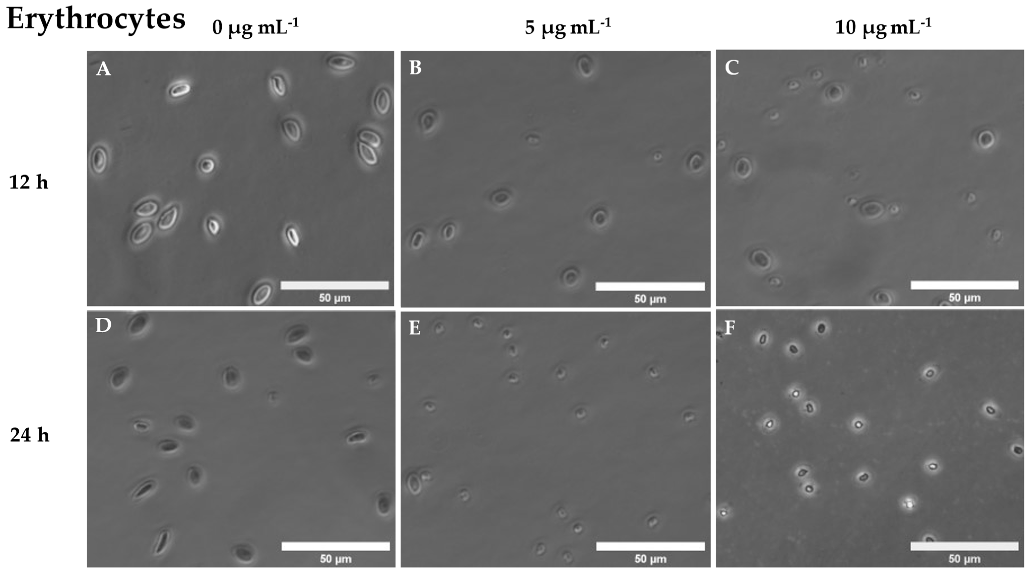 Preprints 72140 g001