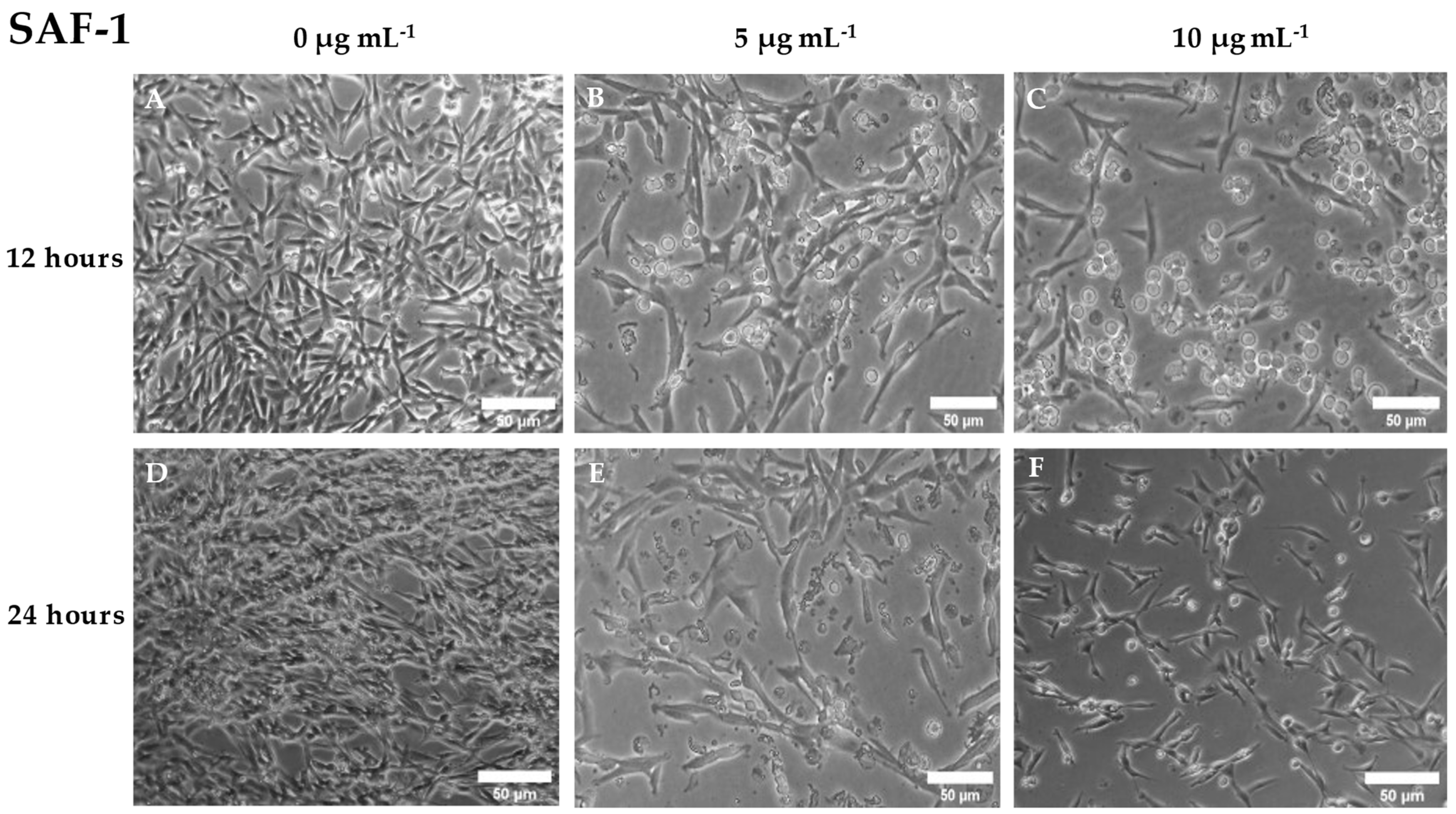 Preprints 72140 g003