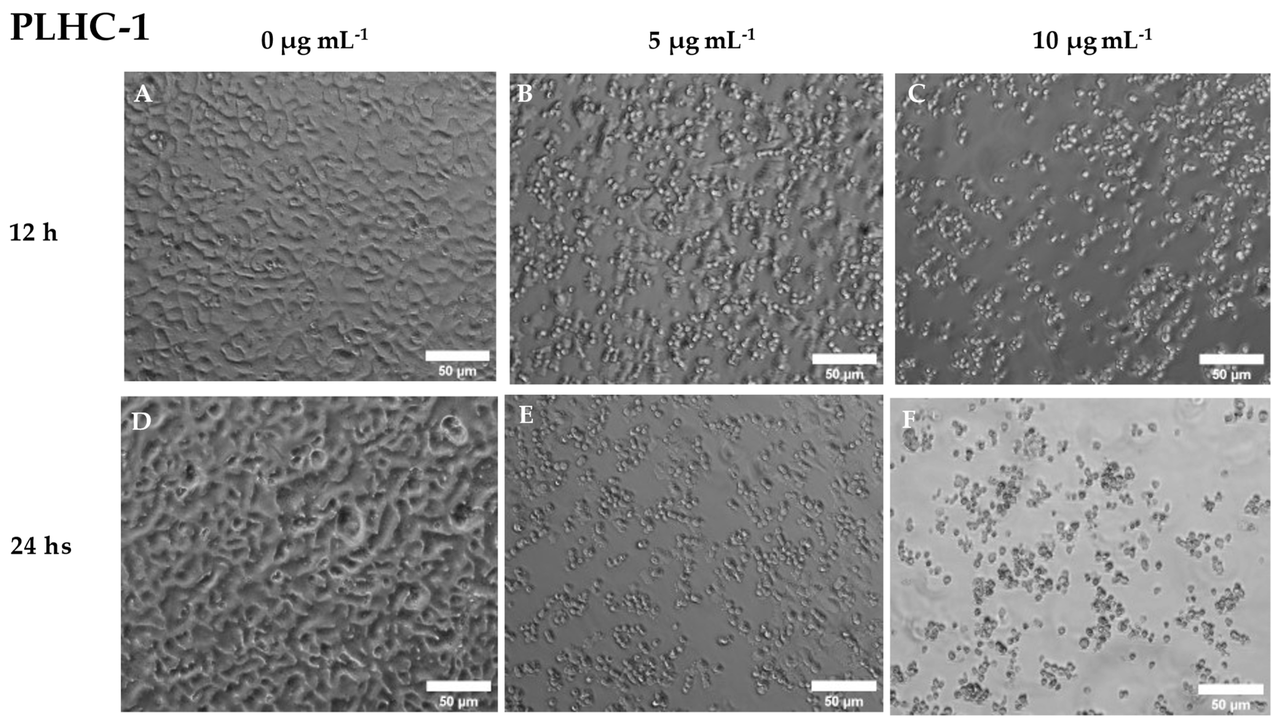 Preprints 72140 g005