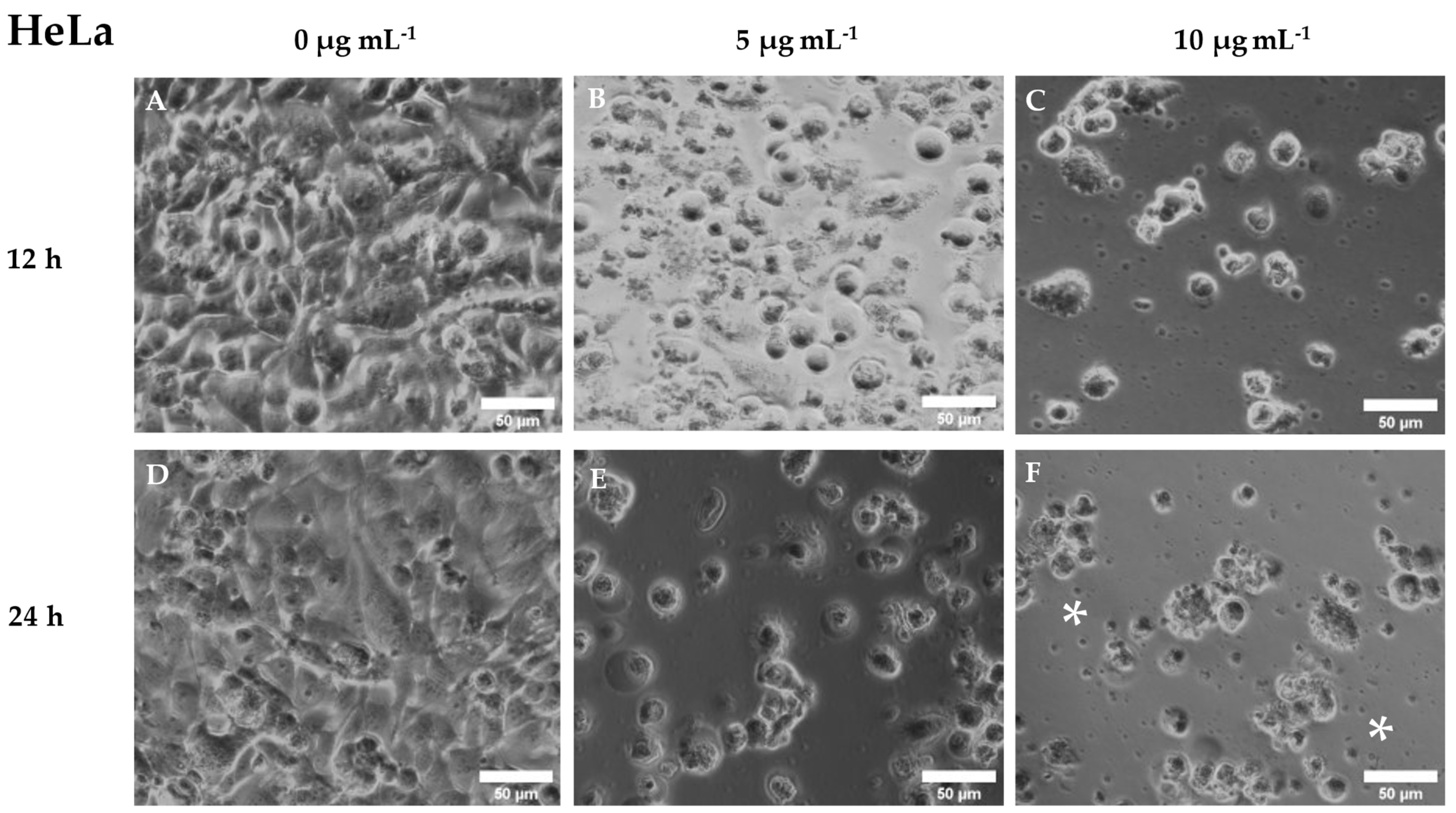 Preprints 72140 g007