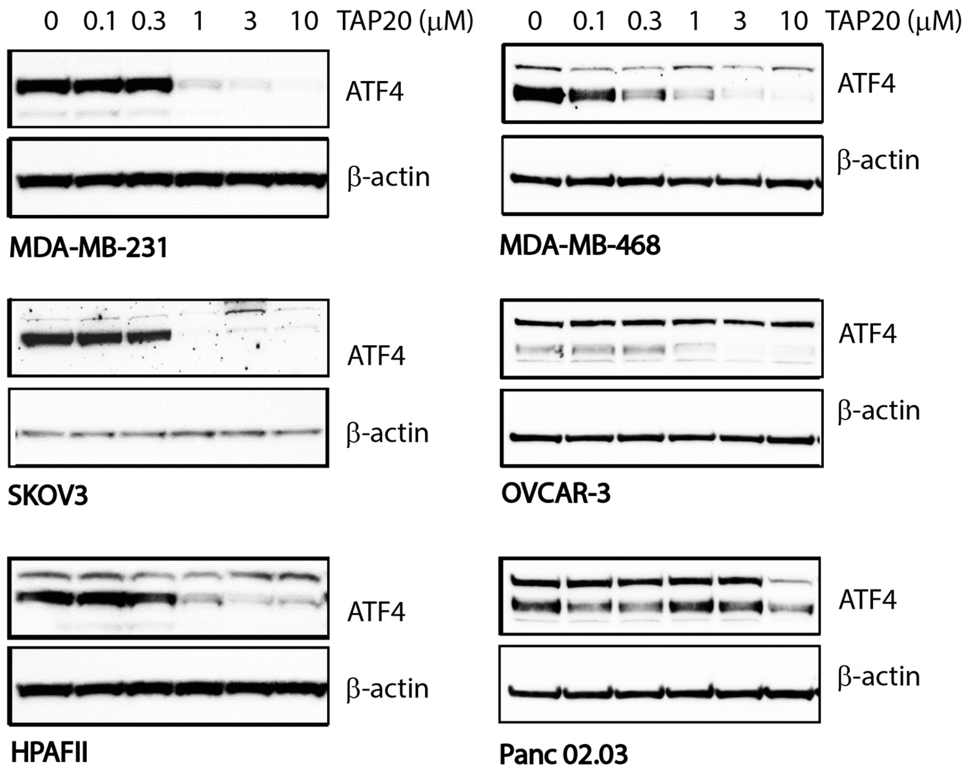 Preprints 83922 g001