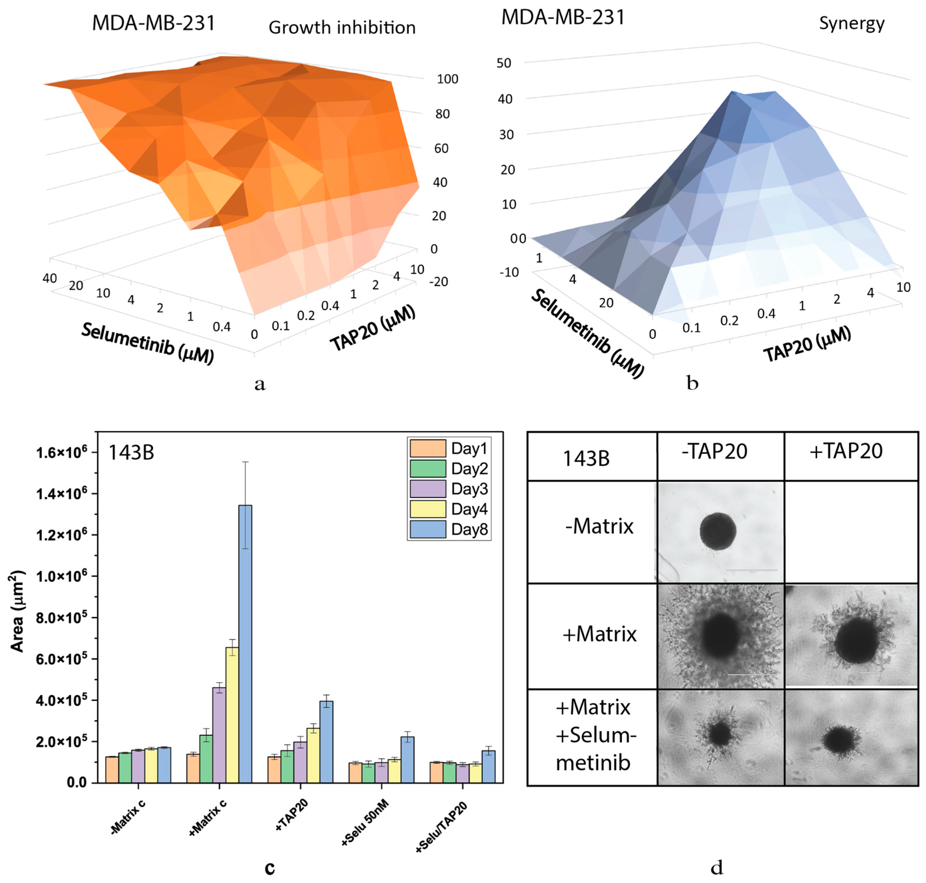 Preprints 83922 g006