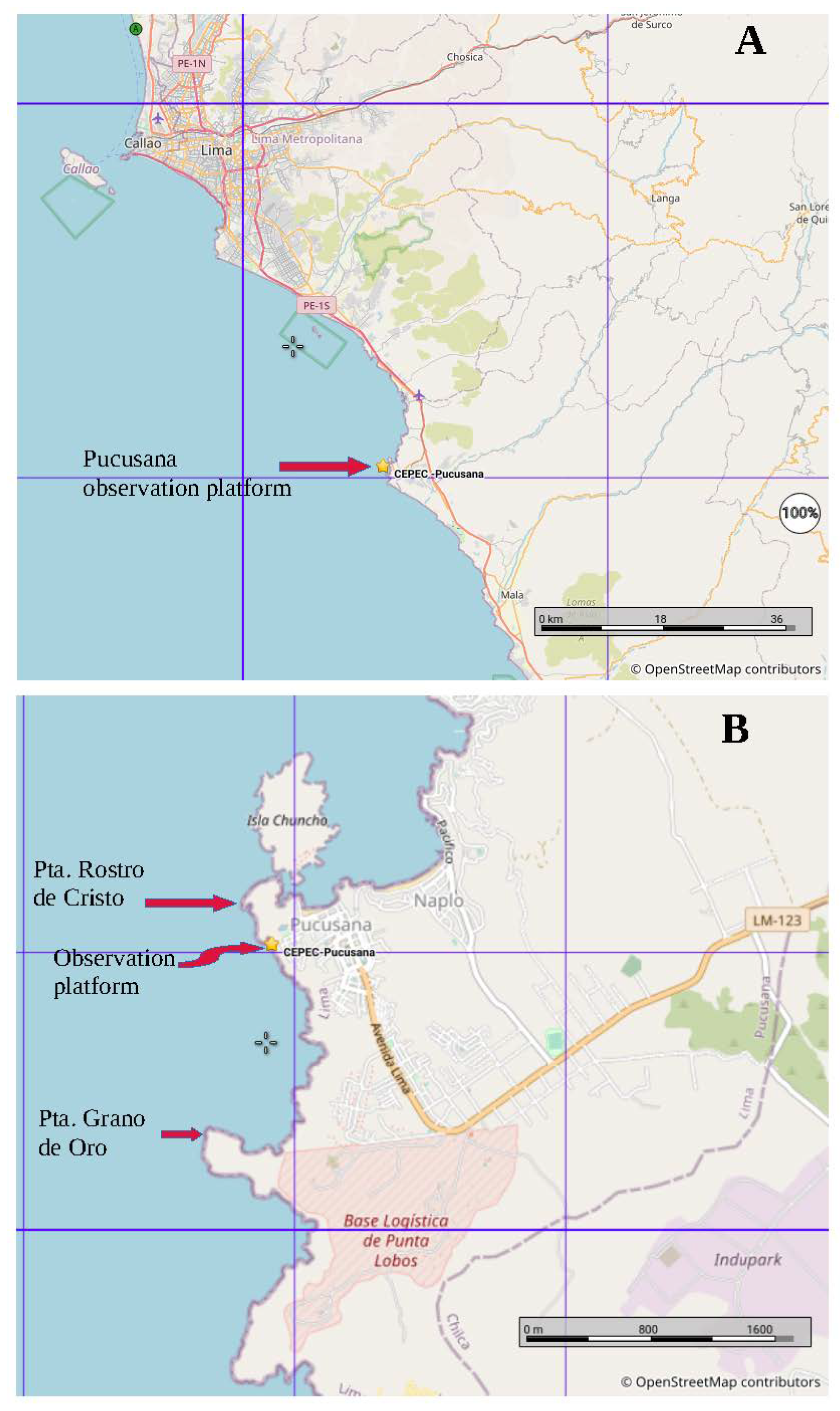 Preprints 80916 g003