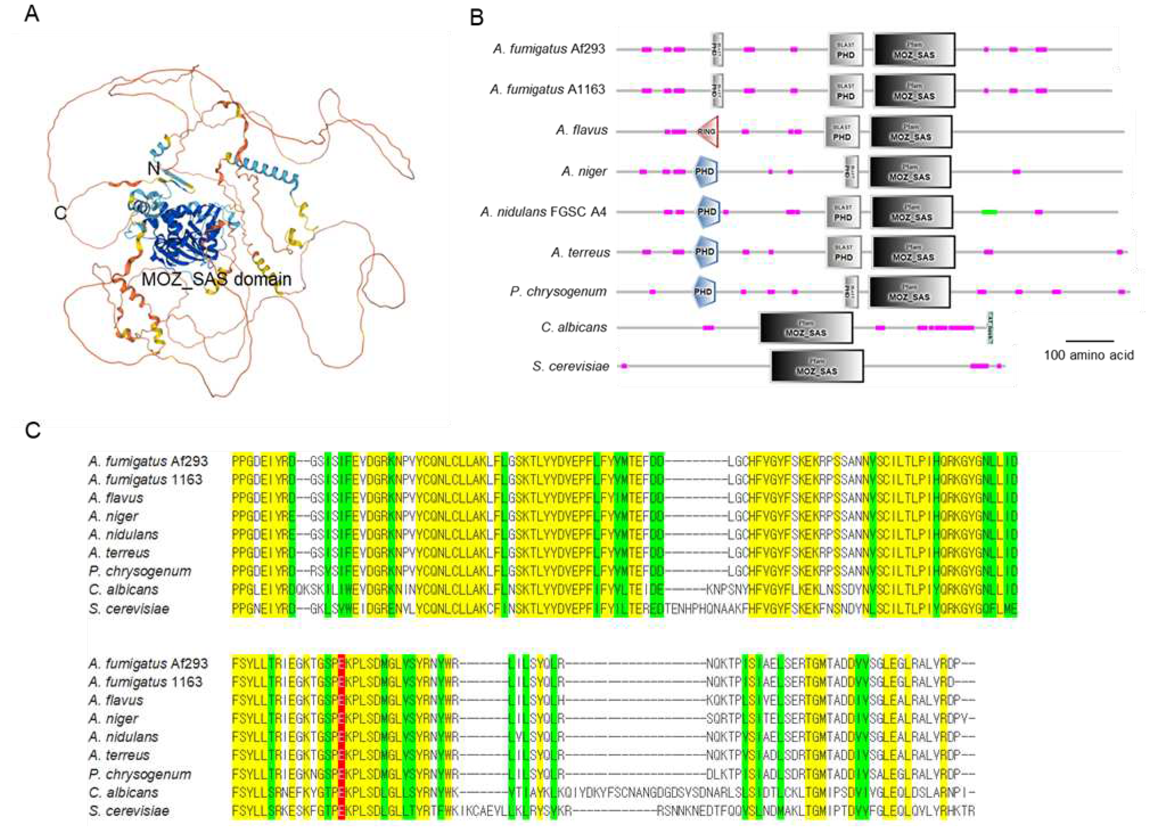 Preprints 88270 g001