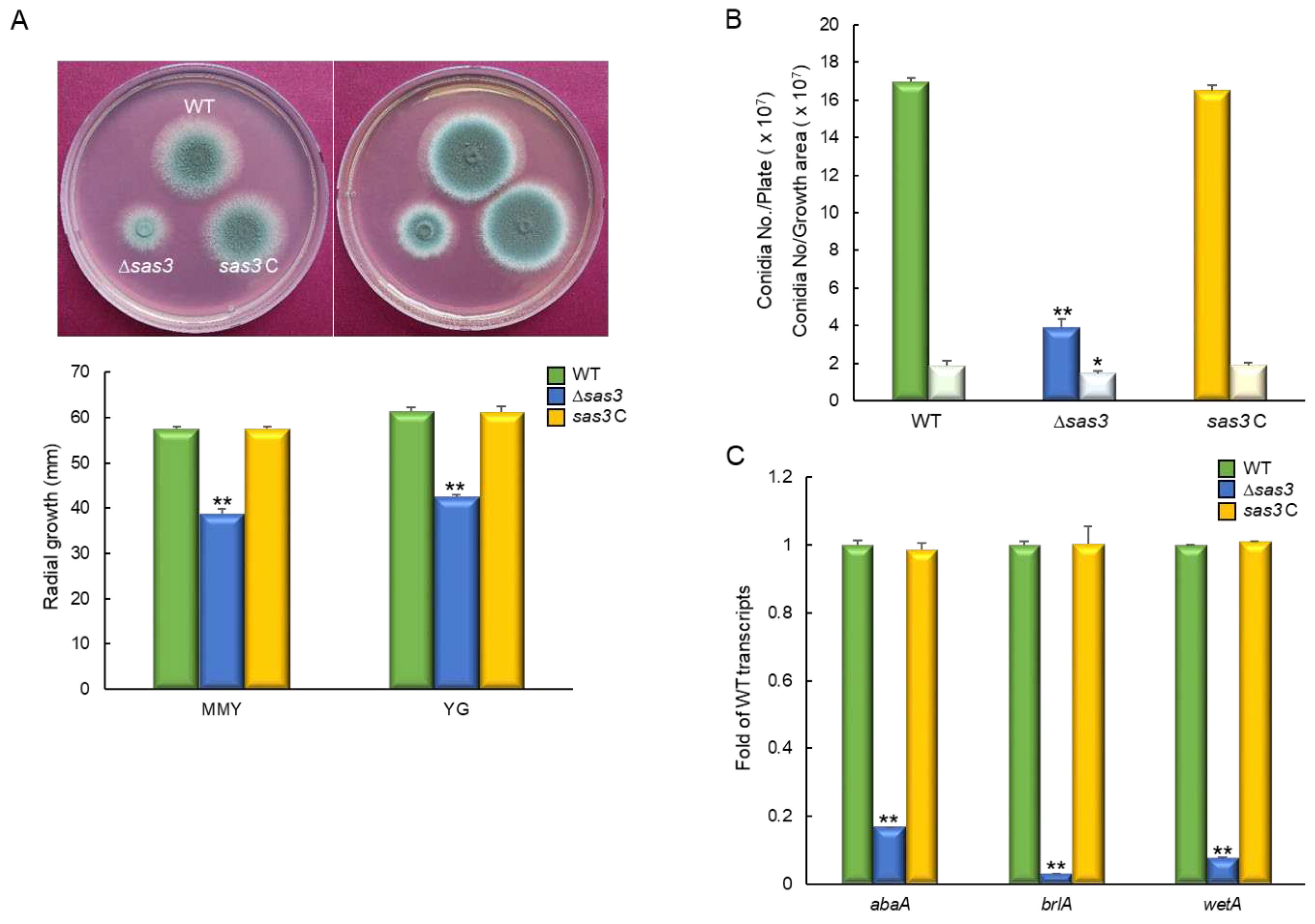 Preprints 88270 g002