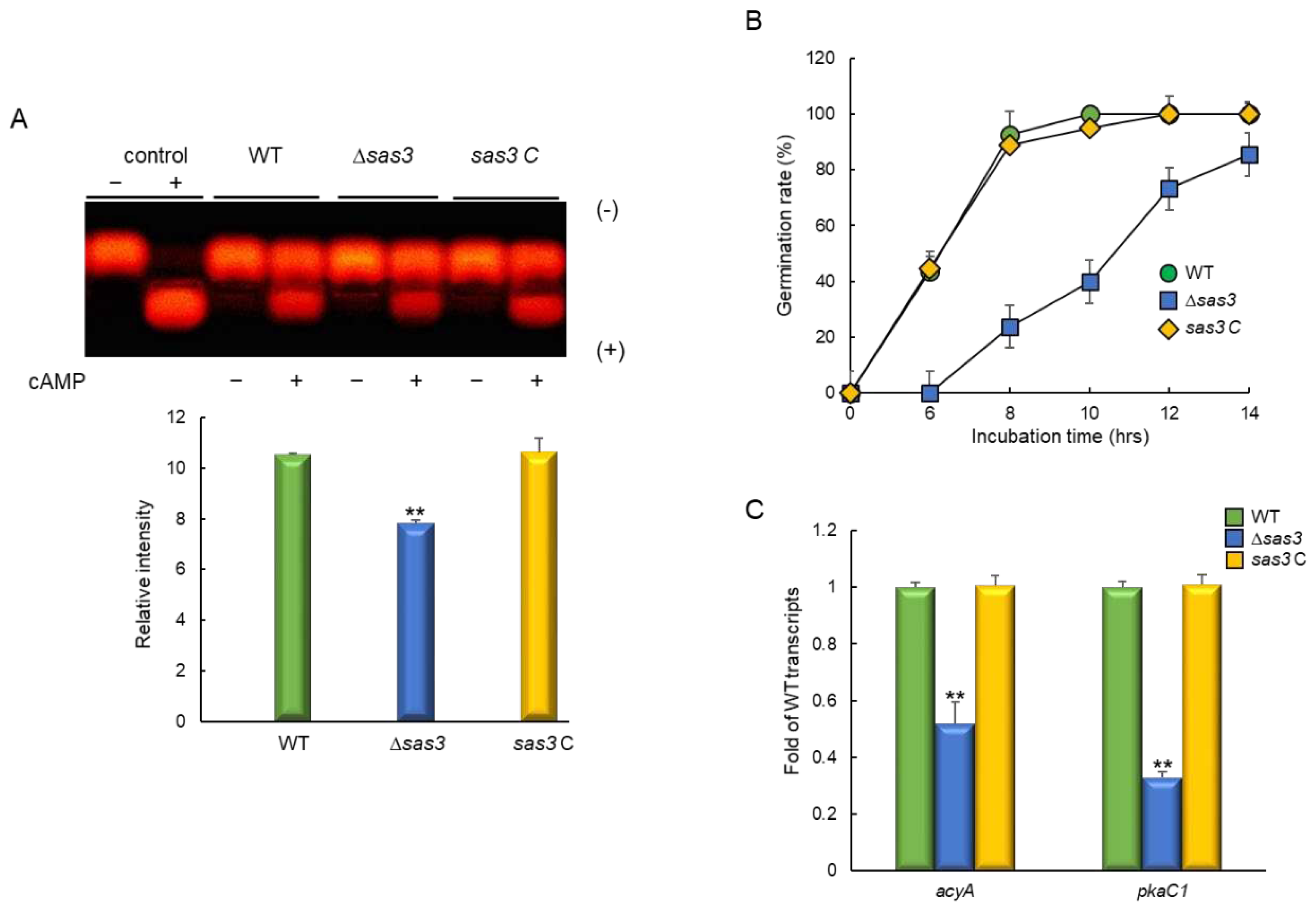 Preprints 88270 g003