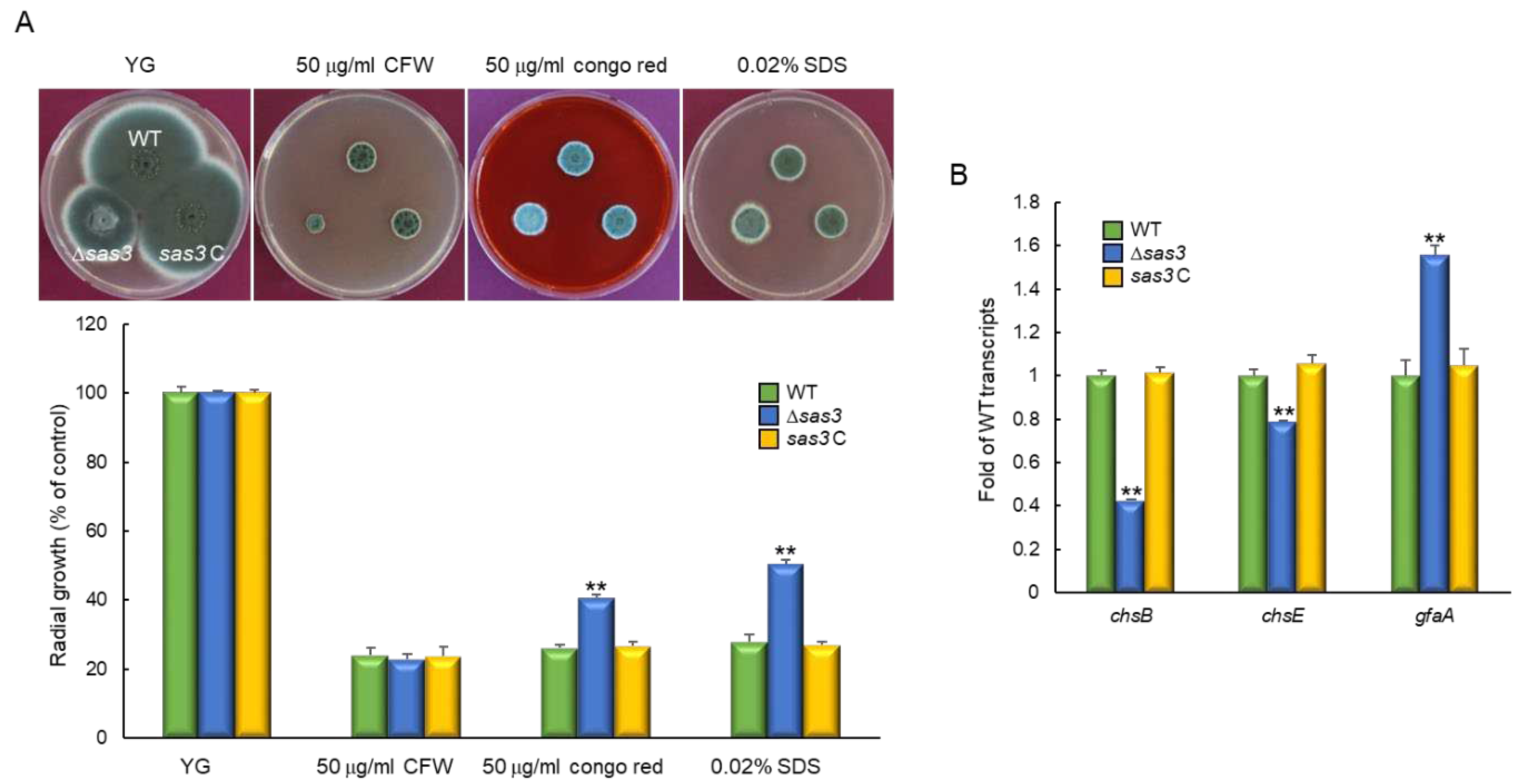 Preprints 88270 g004