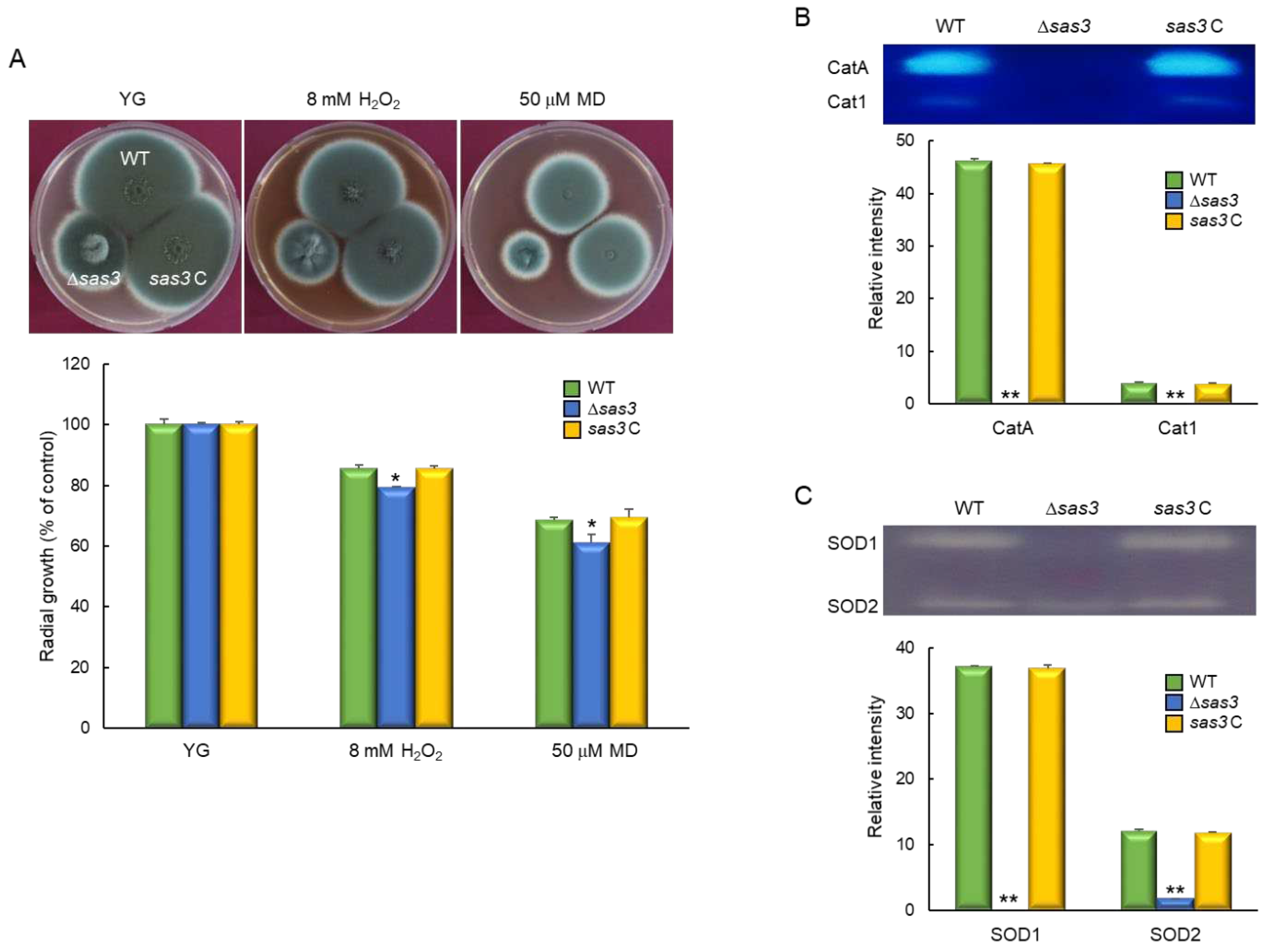 Preprints 88270 g005