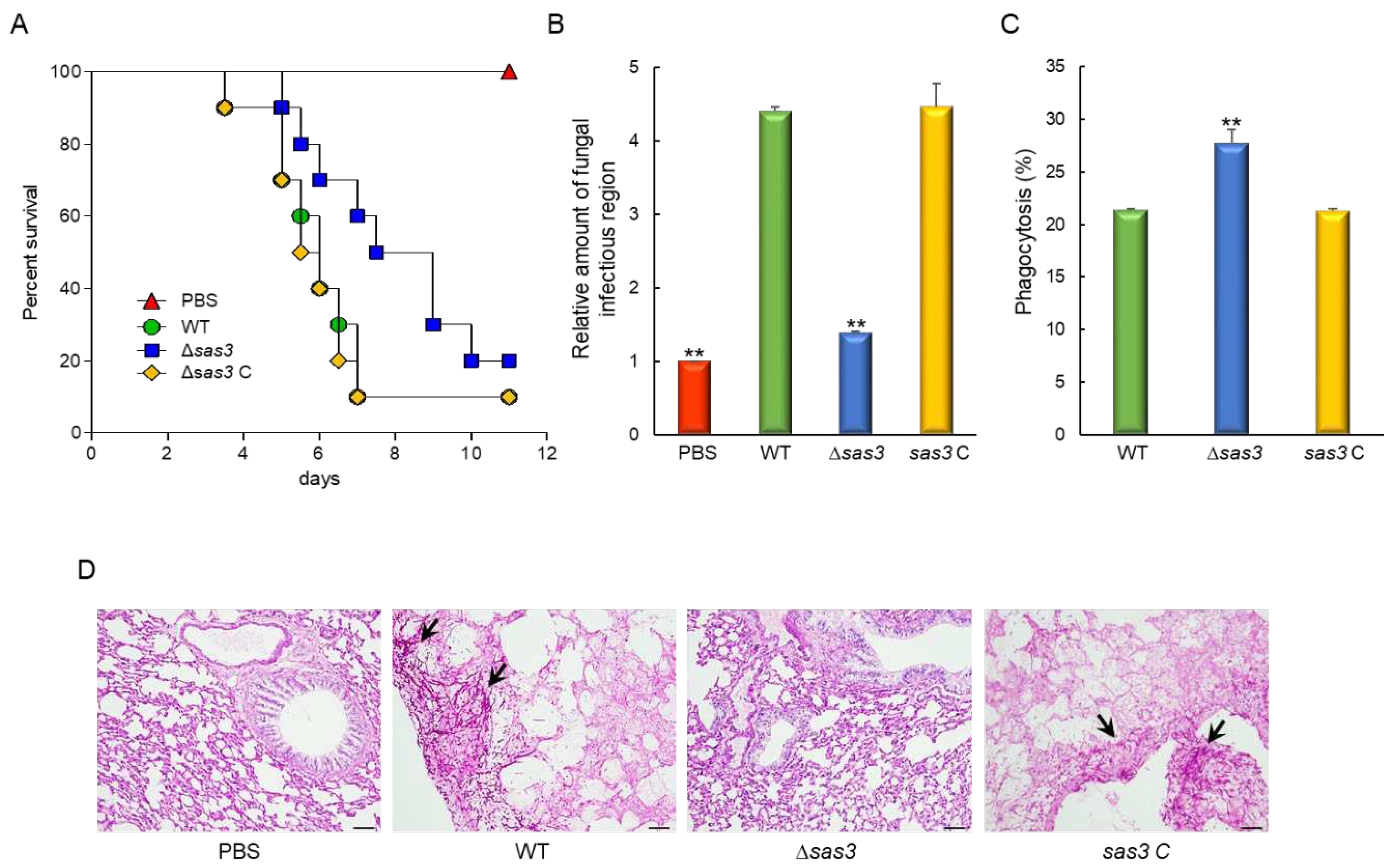 Preprints 88270 g006