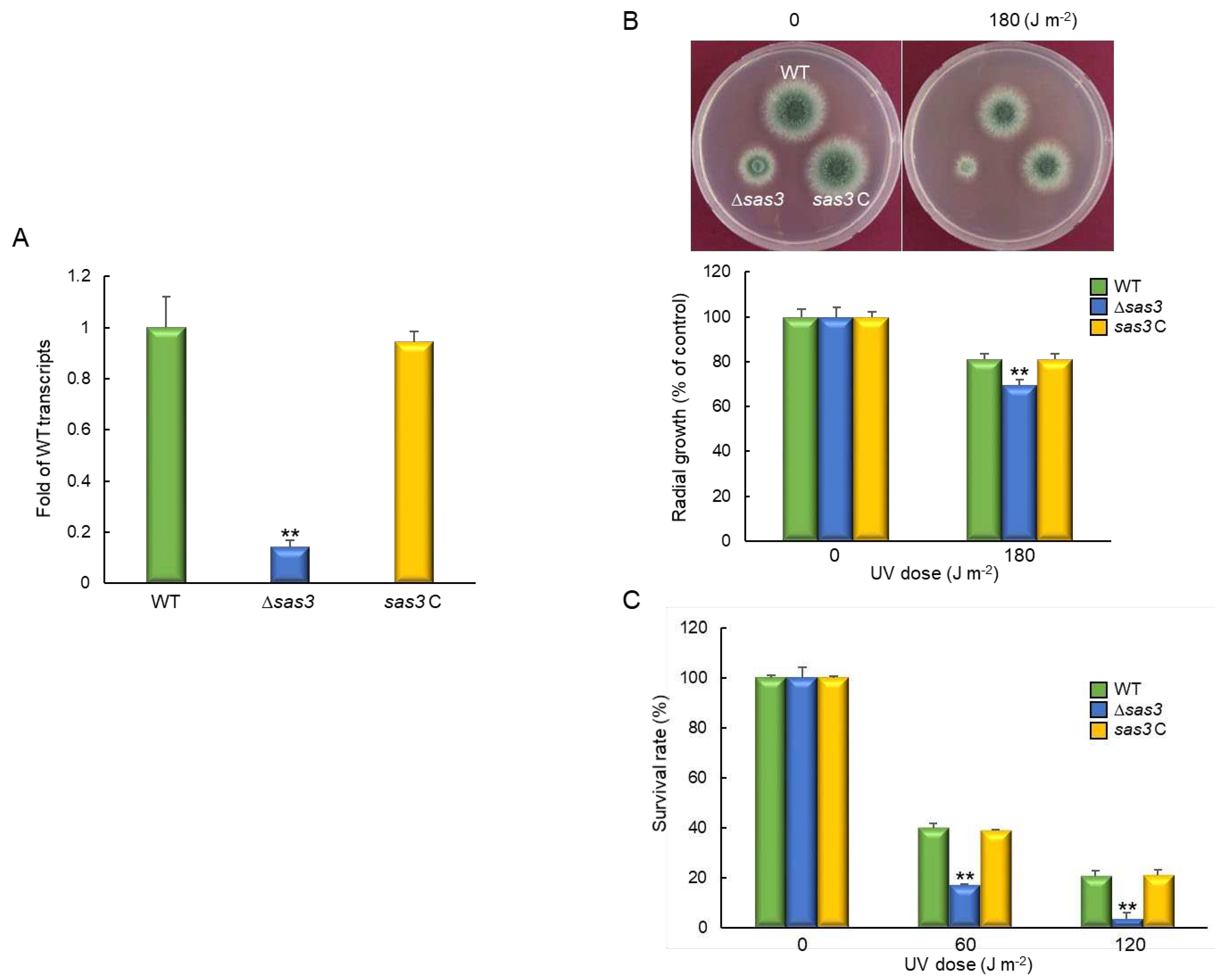 Preprints 88270 g008