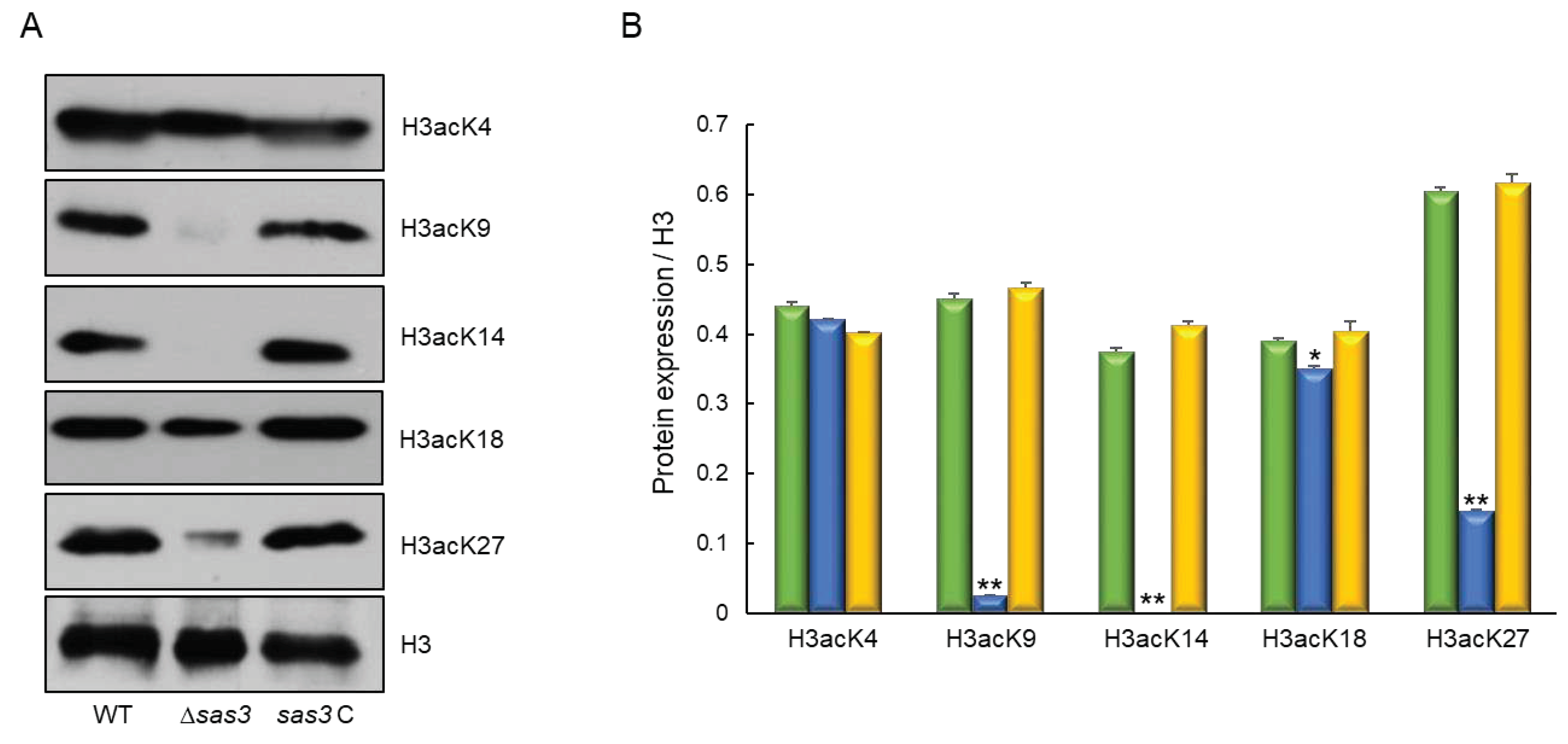 Preprints 88270 g009