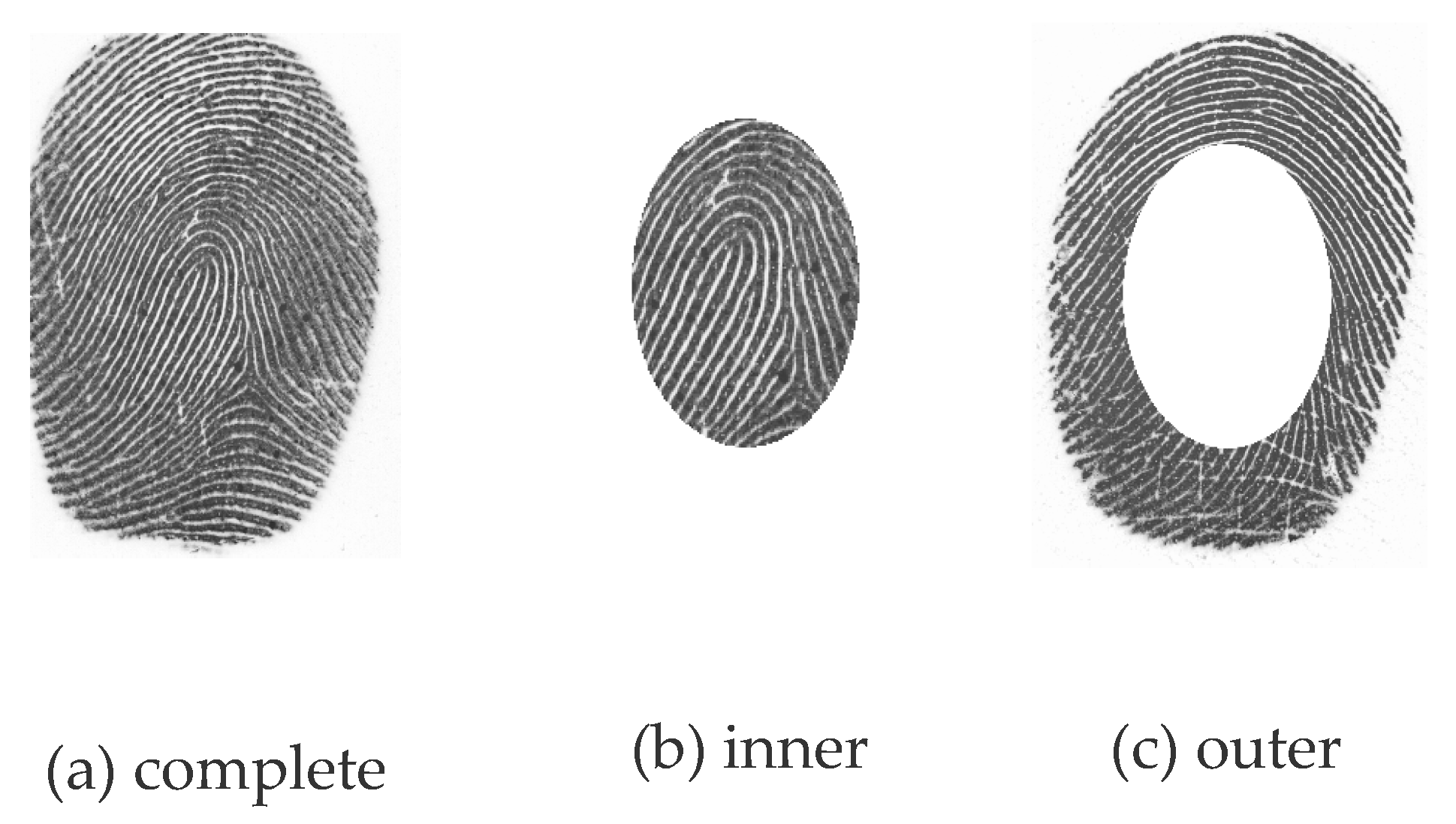 Preprints 91898 g001