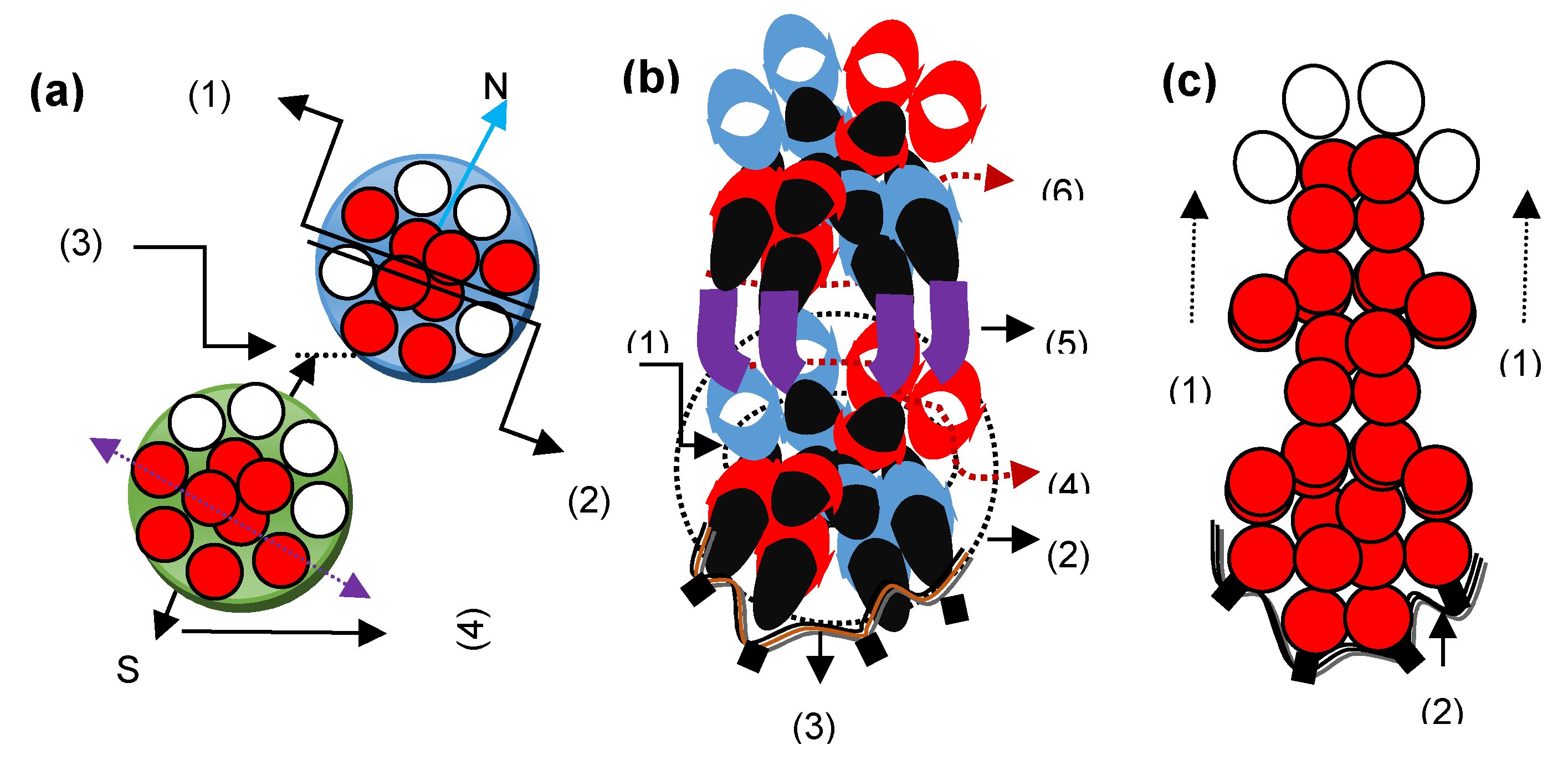 Preprints 101010 g004