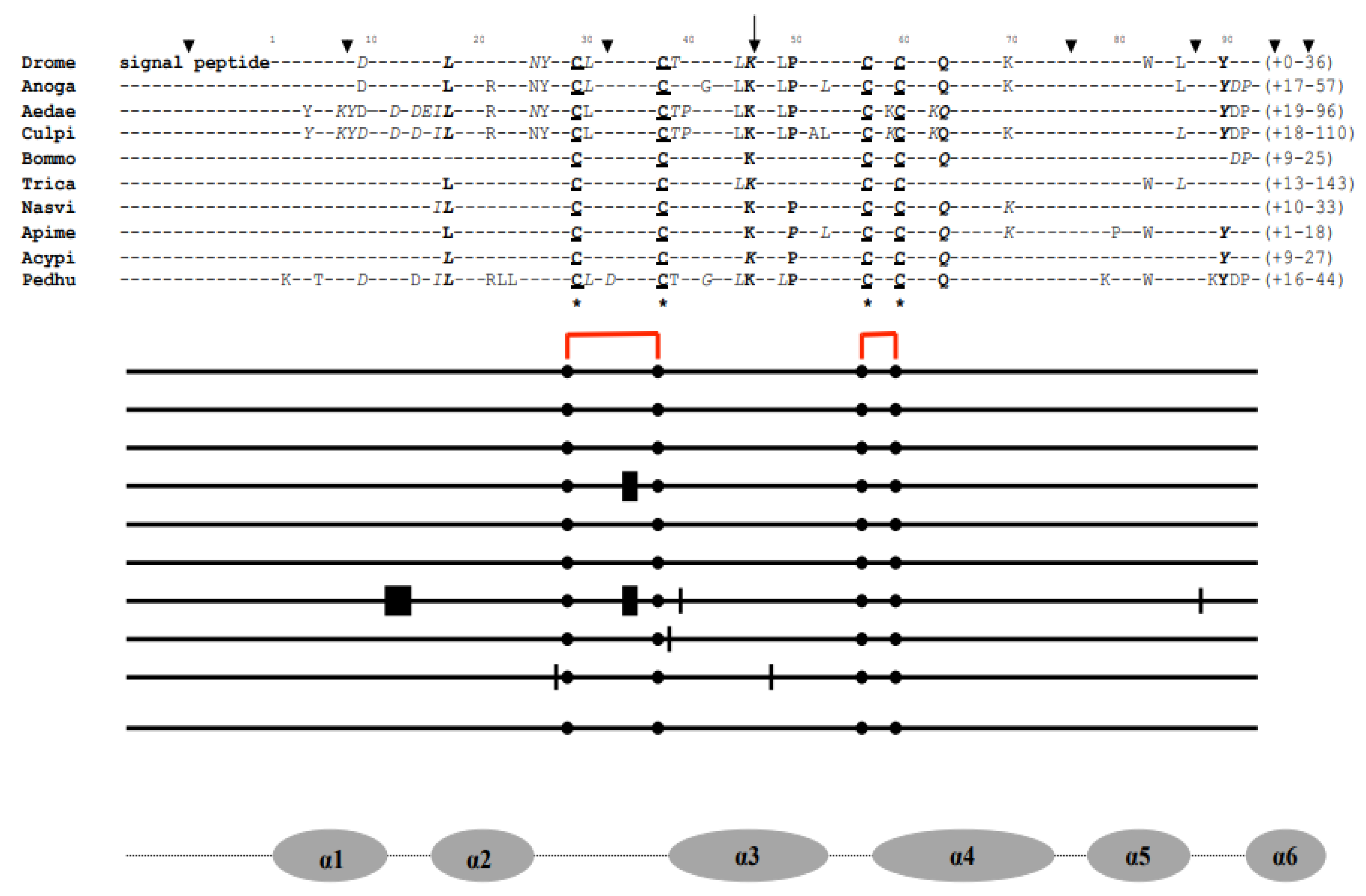 Preprints 119855 g001