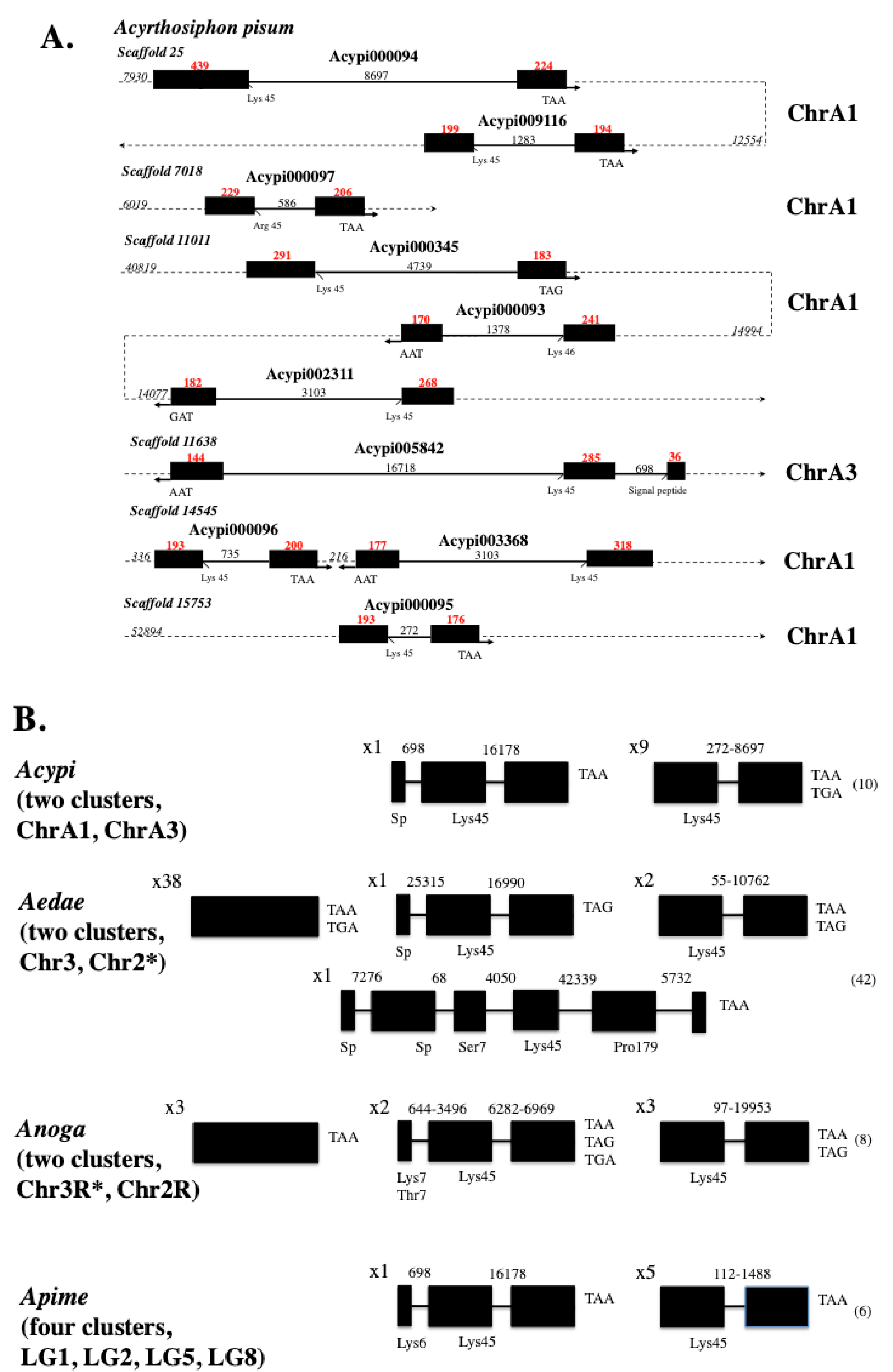 Preprints 119855 g002a