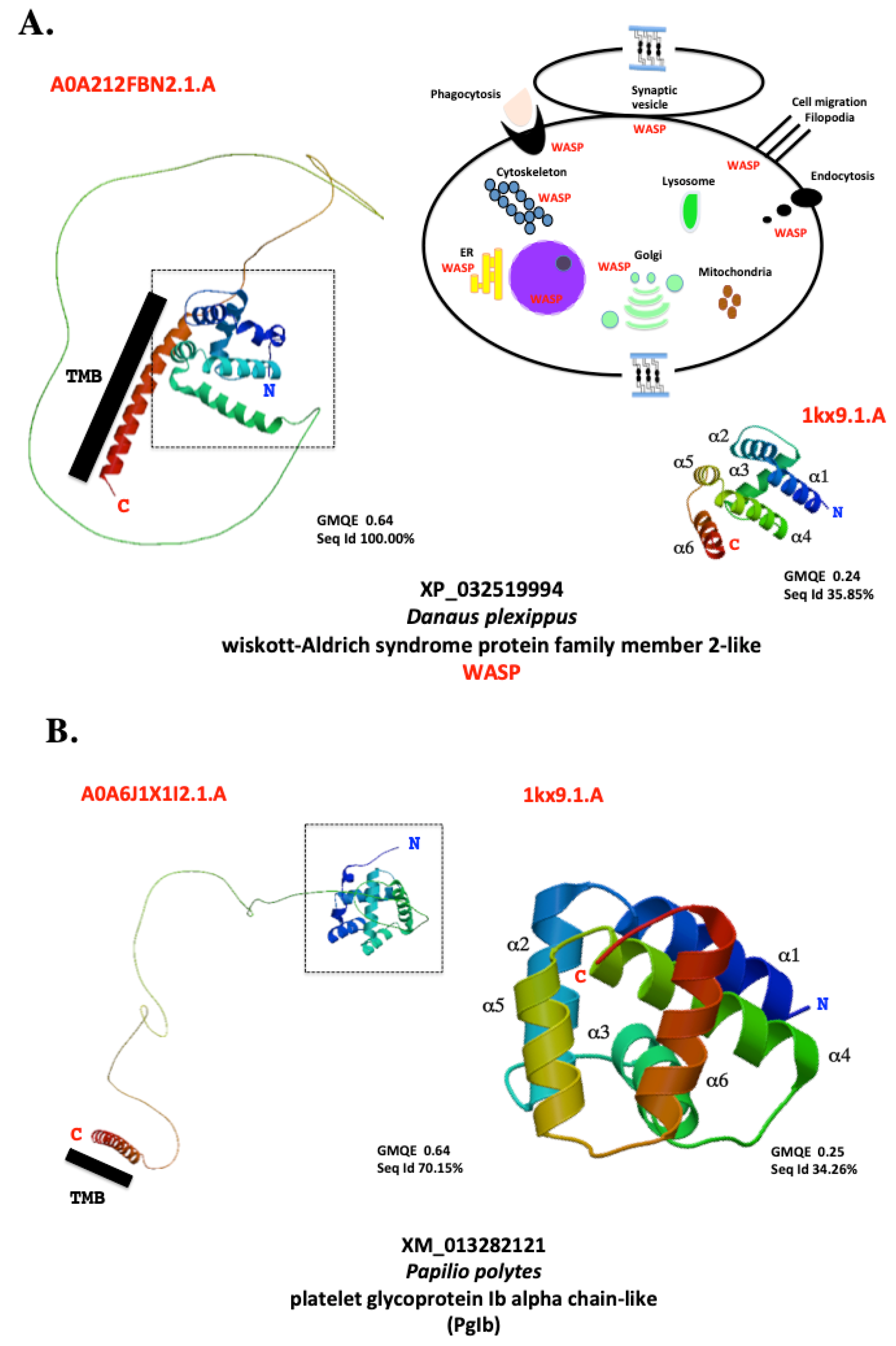 Preprints 119855 g006