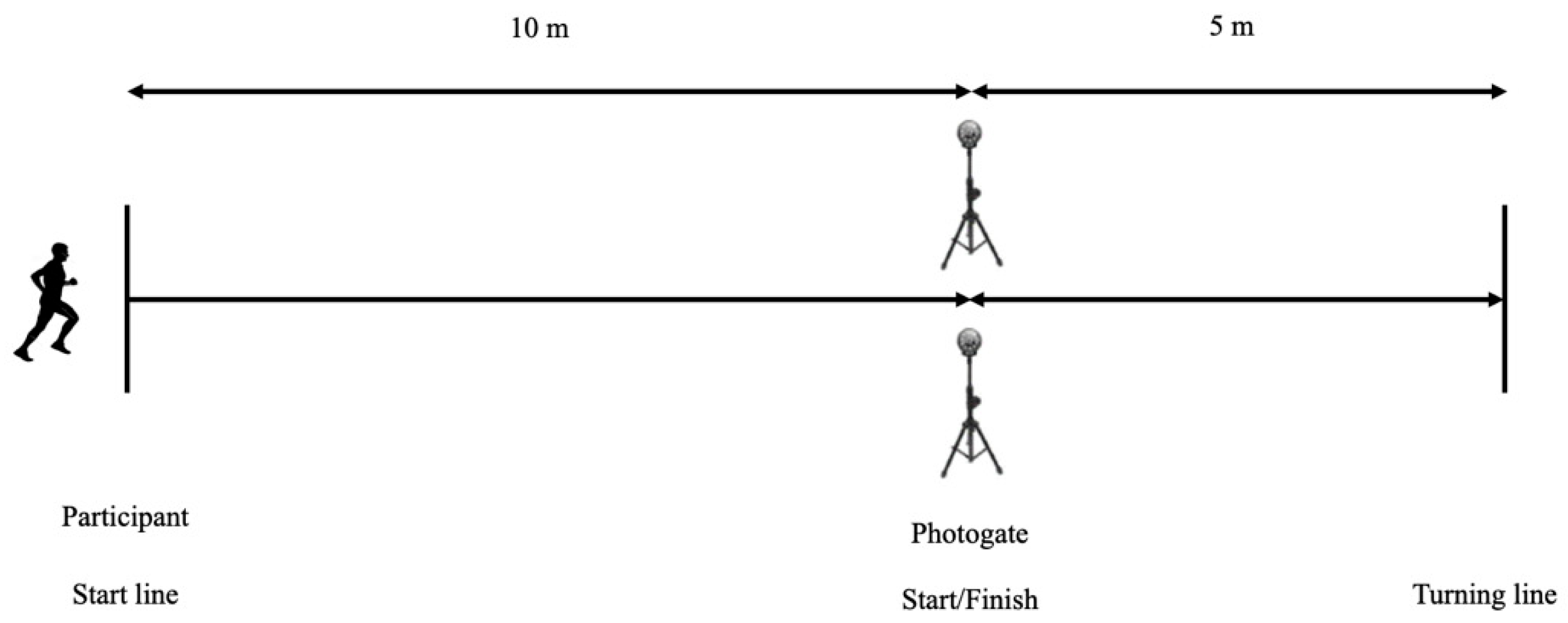 Preprints 92152 g002