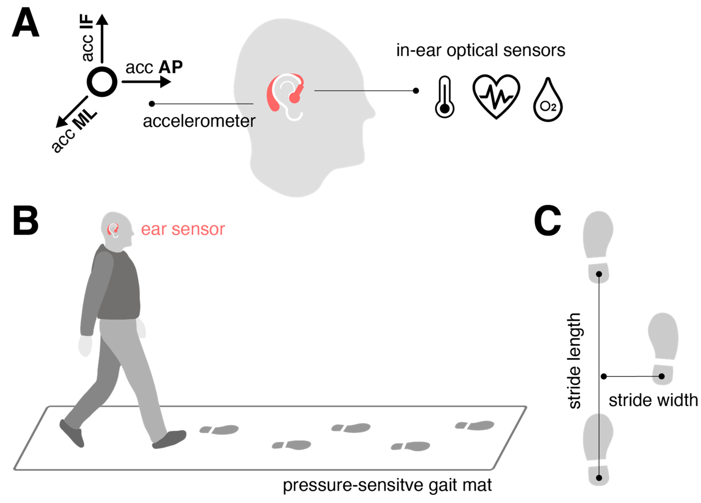 Preprints 115863 g001