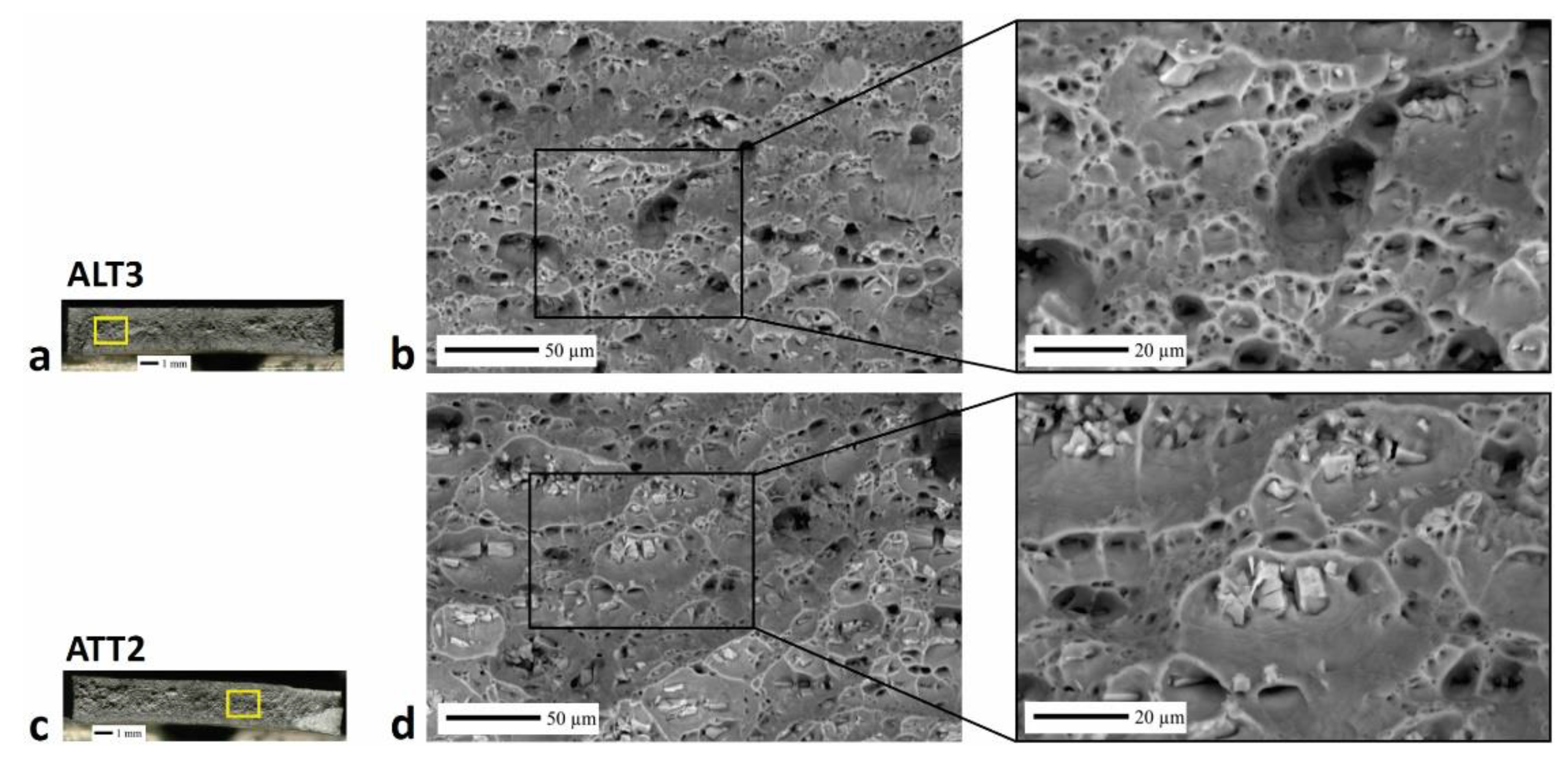 Preprints 116384 g007