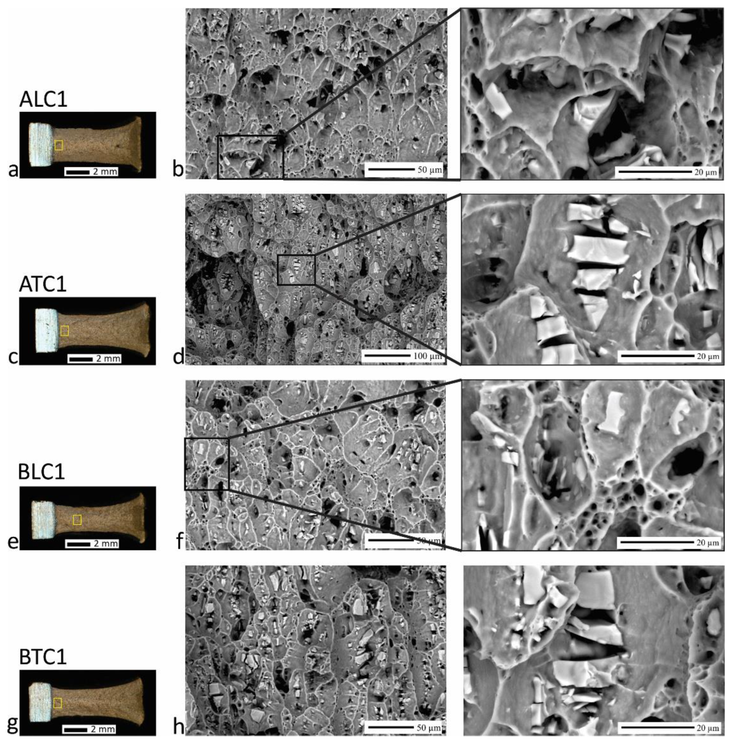 Preprints 116384 g009