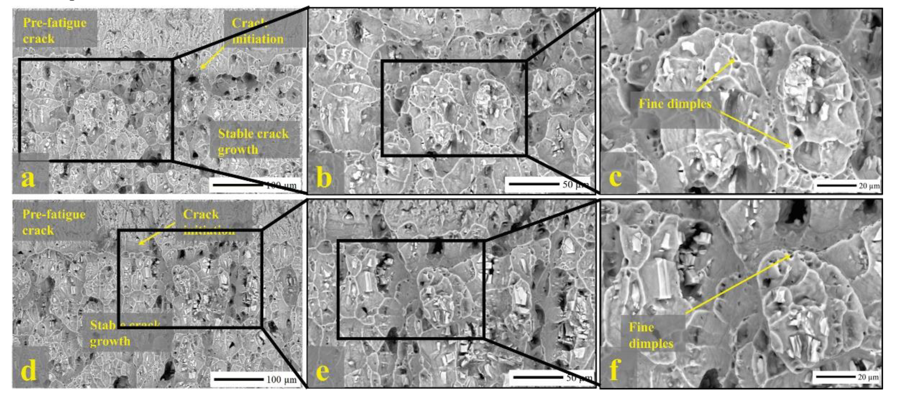 Preprints 116384 g012