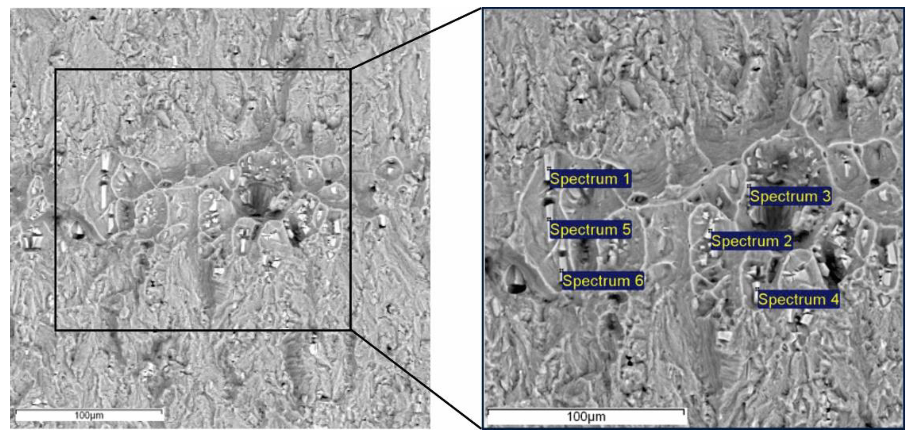 Preprints 116384 g014