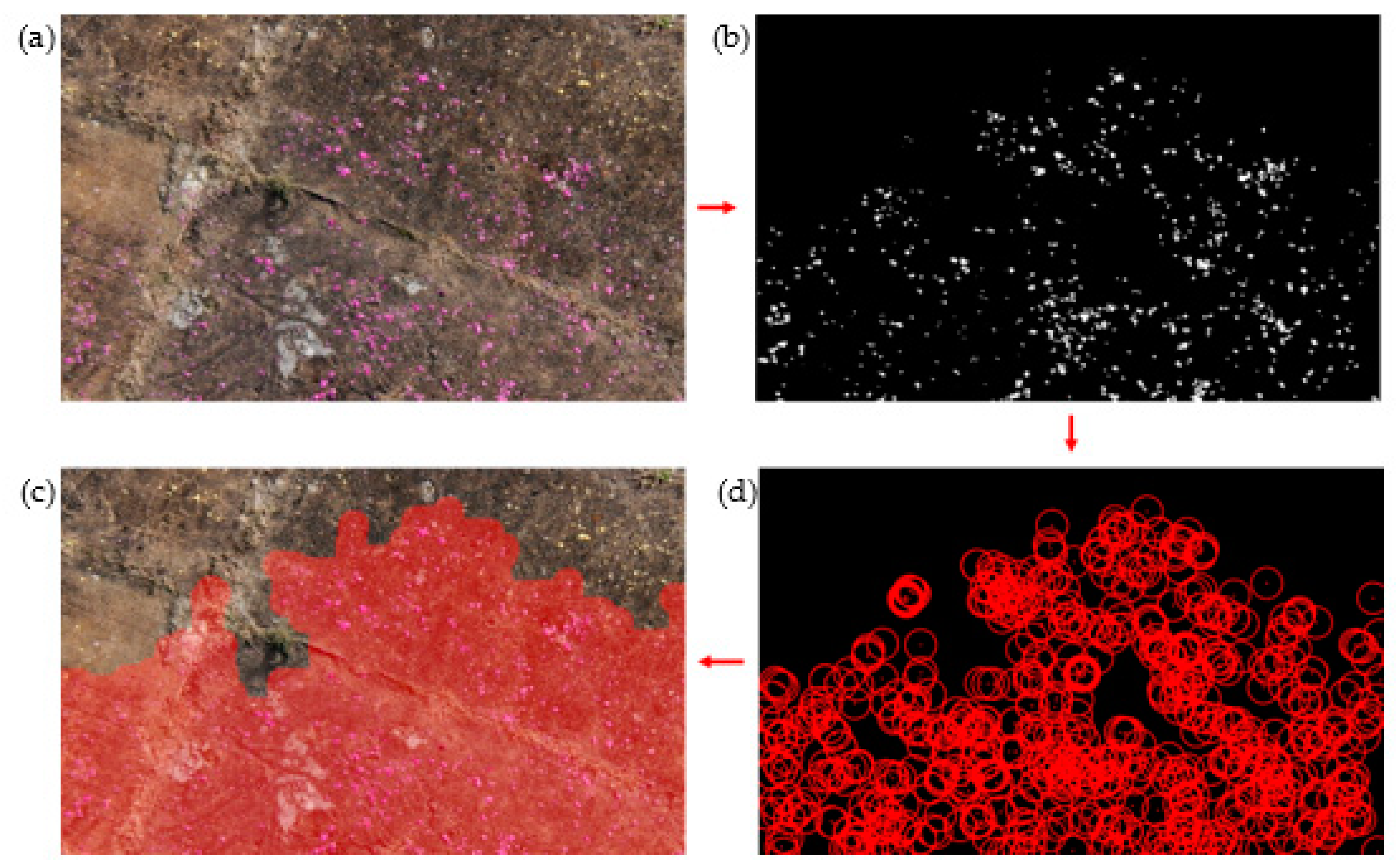 Preprints 113926 g012