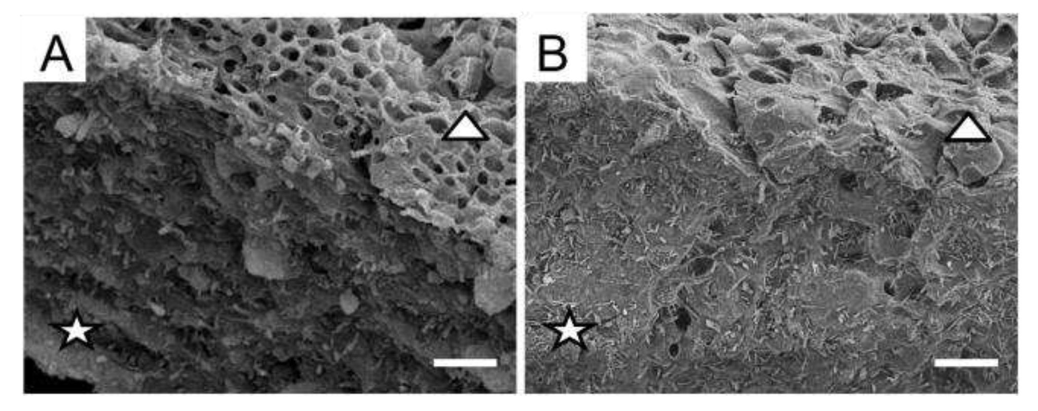 Preprints 77324 g001