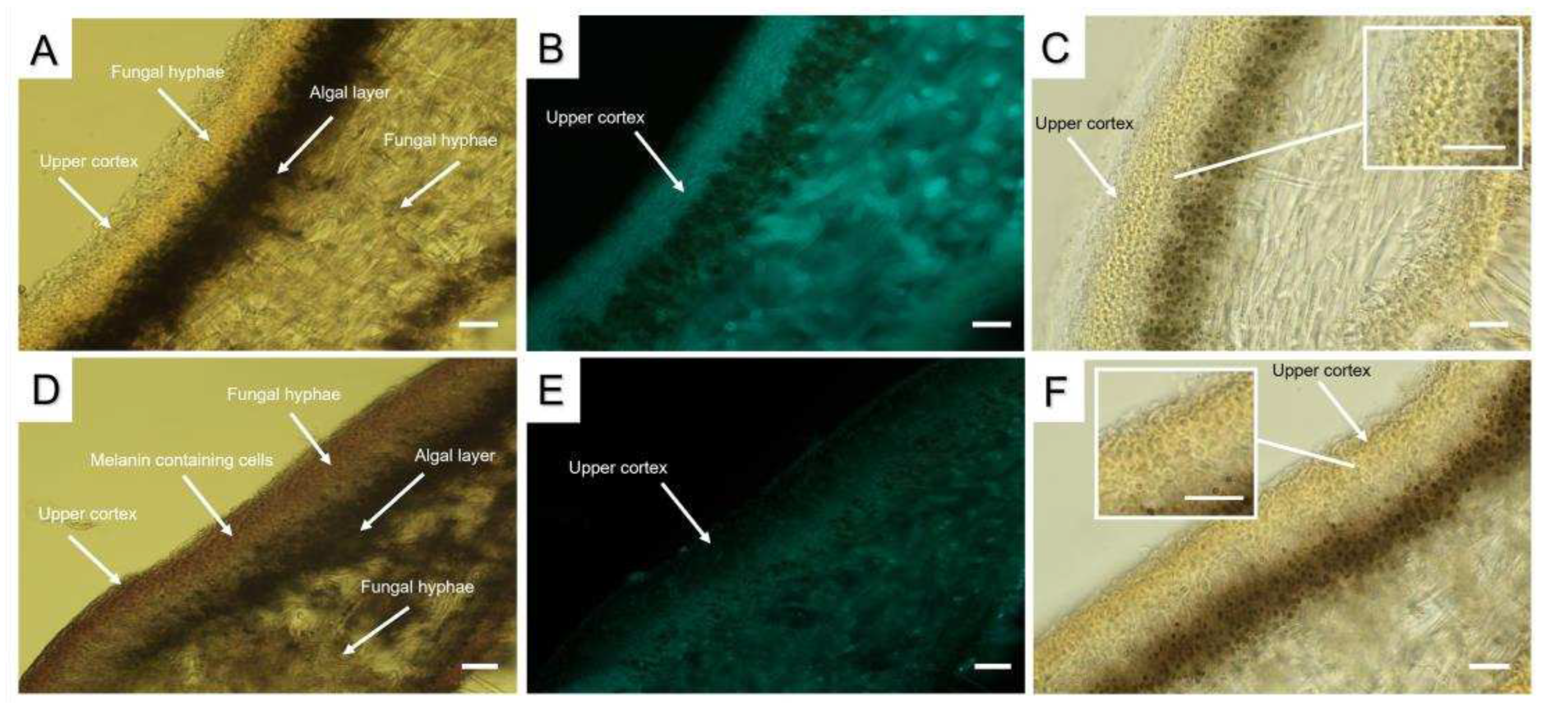 Preprints 77324 g002