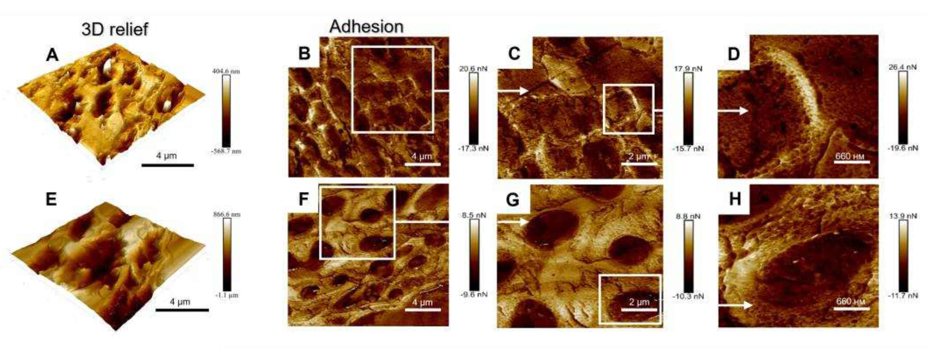 Preprints 77324 g003