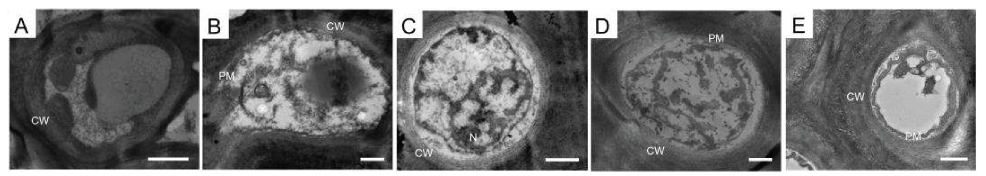 Preprints 77324 g006