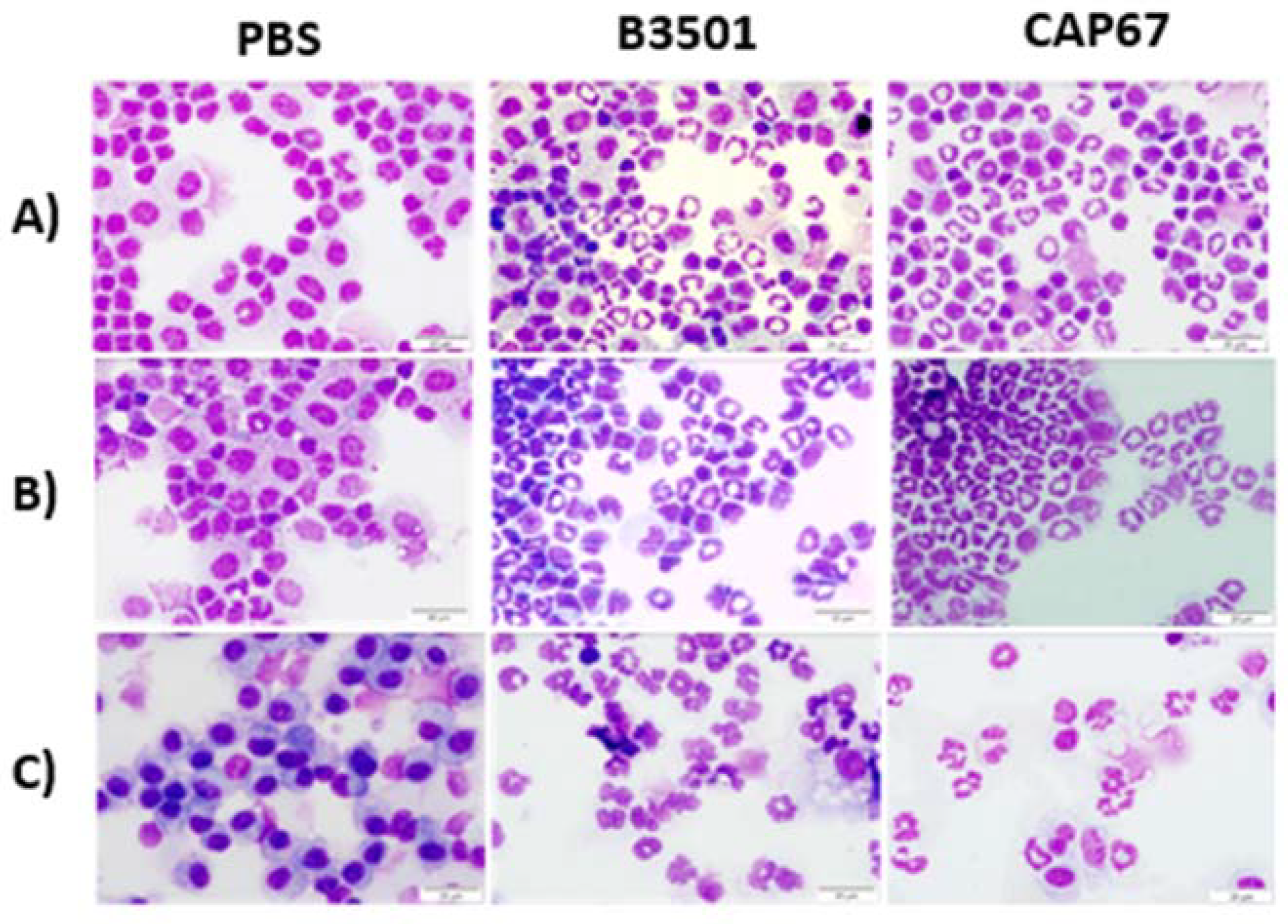 Preprints 113653 g001