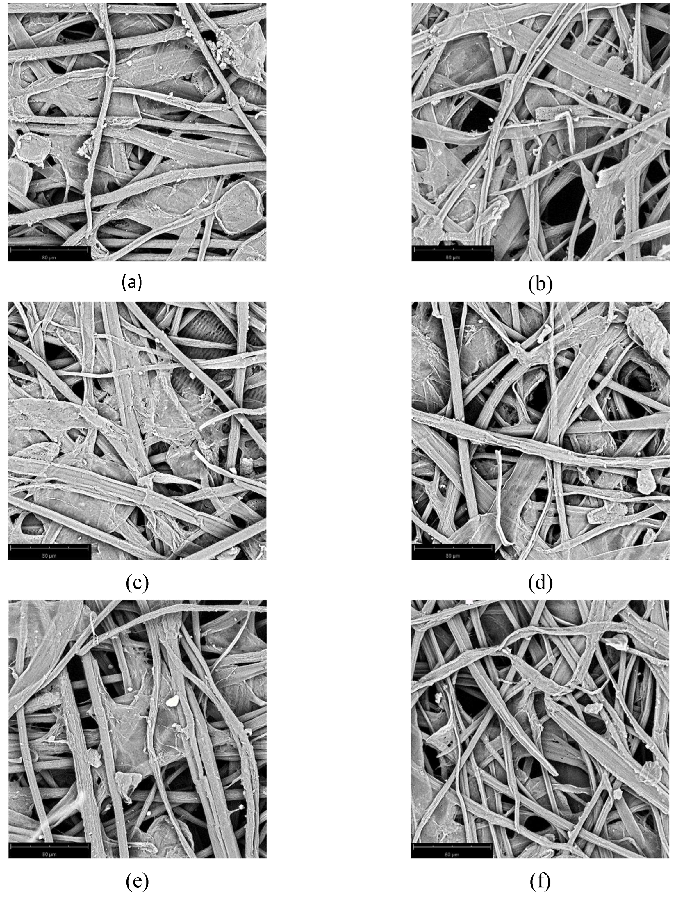 Preprints 120832 g004