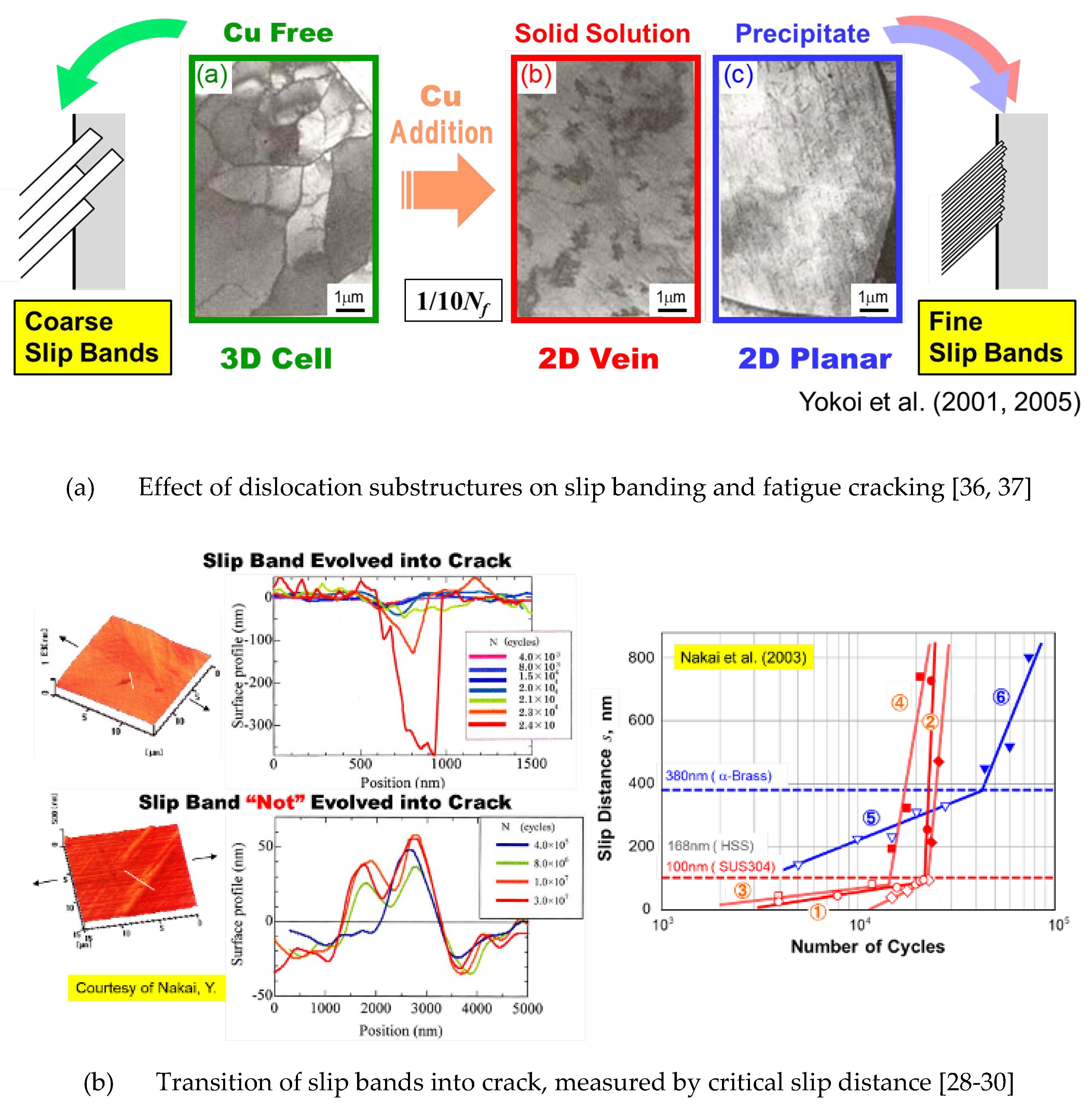 Preprints 119965 g001