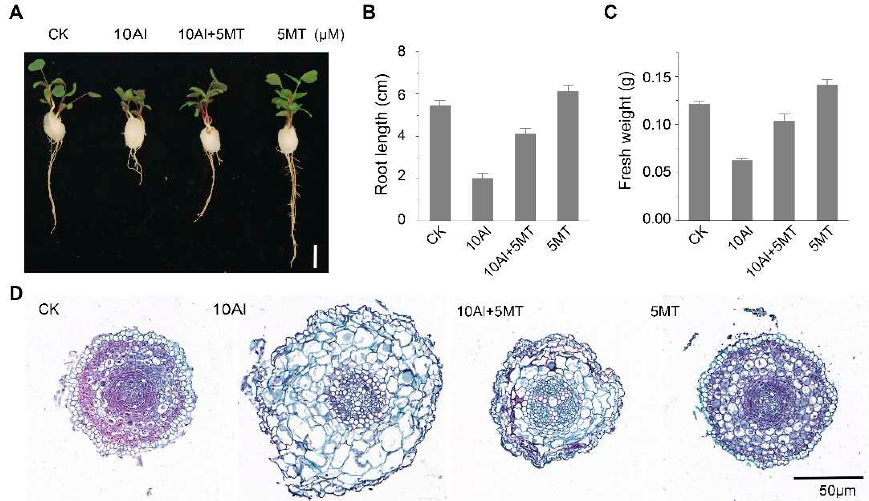 Preprints 89595 g001