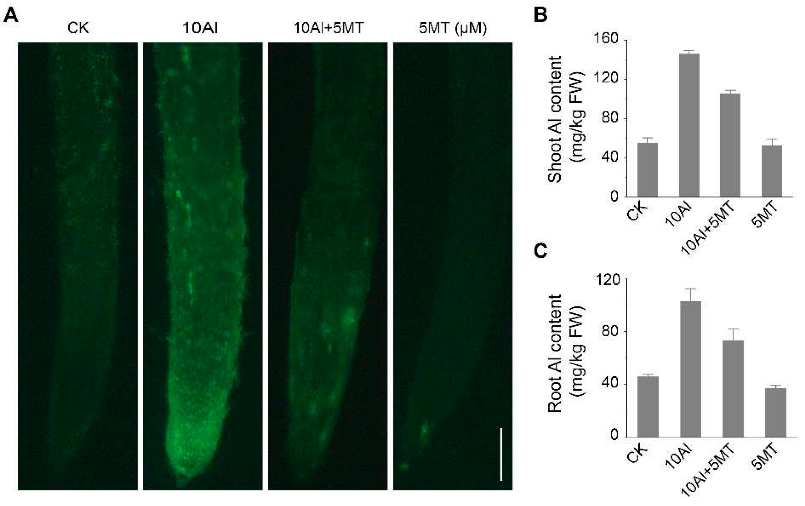 Preprints 89595 g002