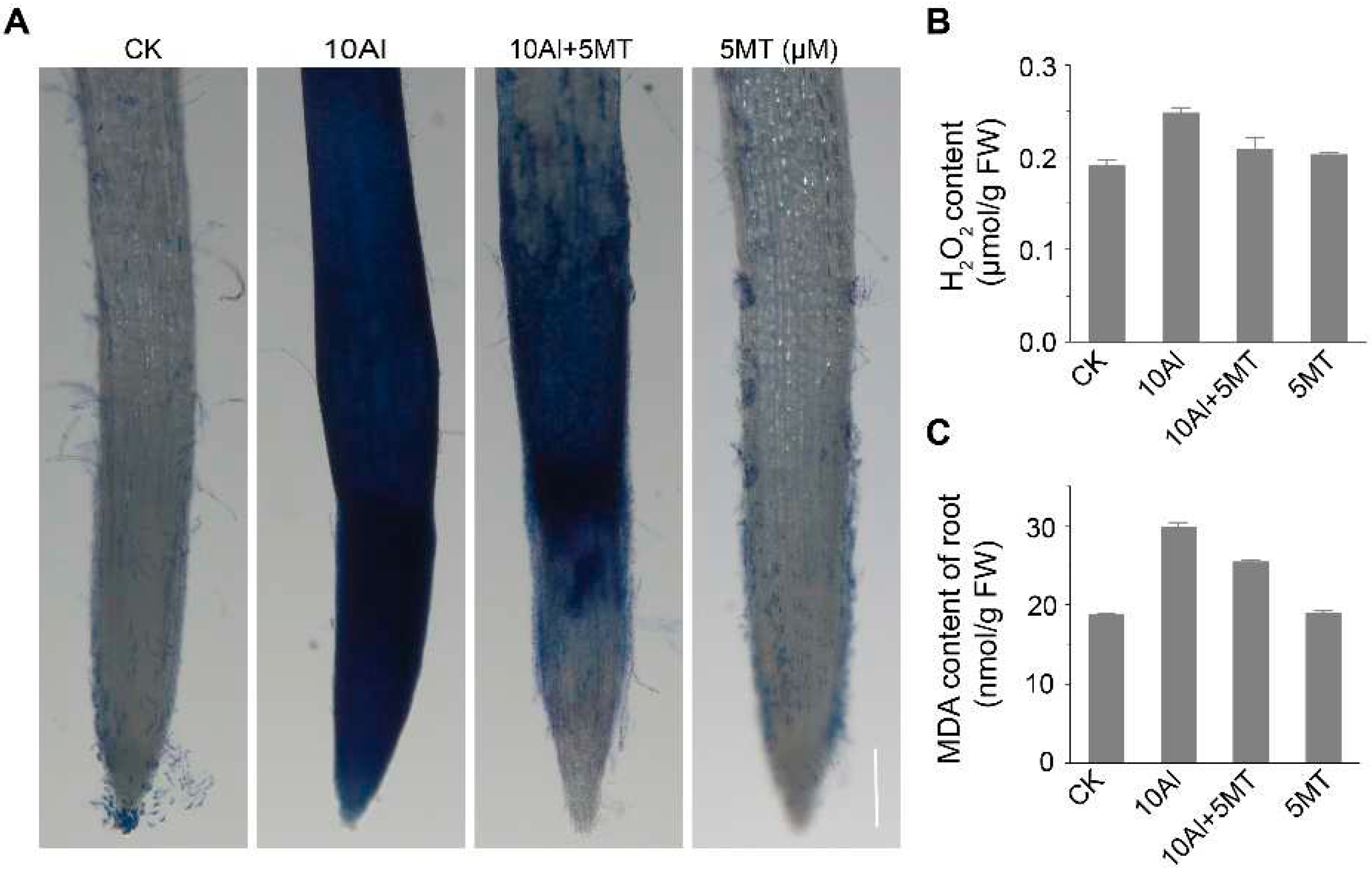 Preprints 89595 g003