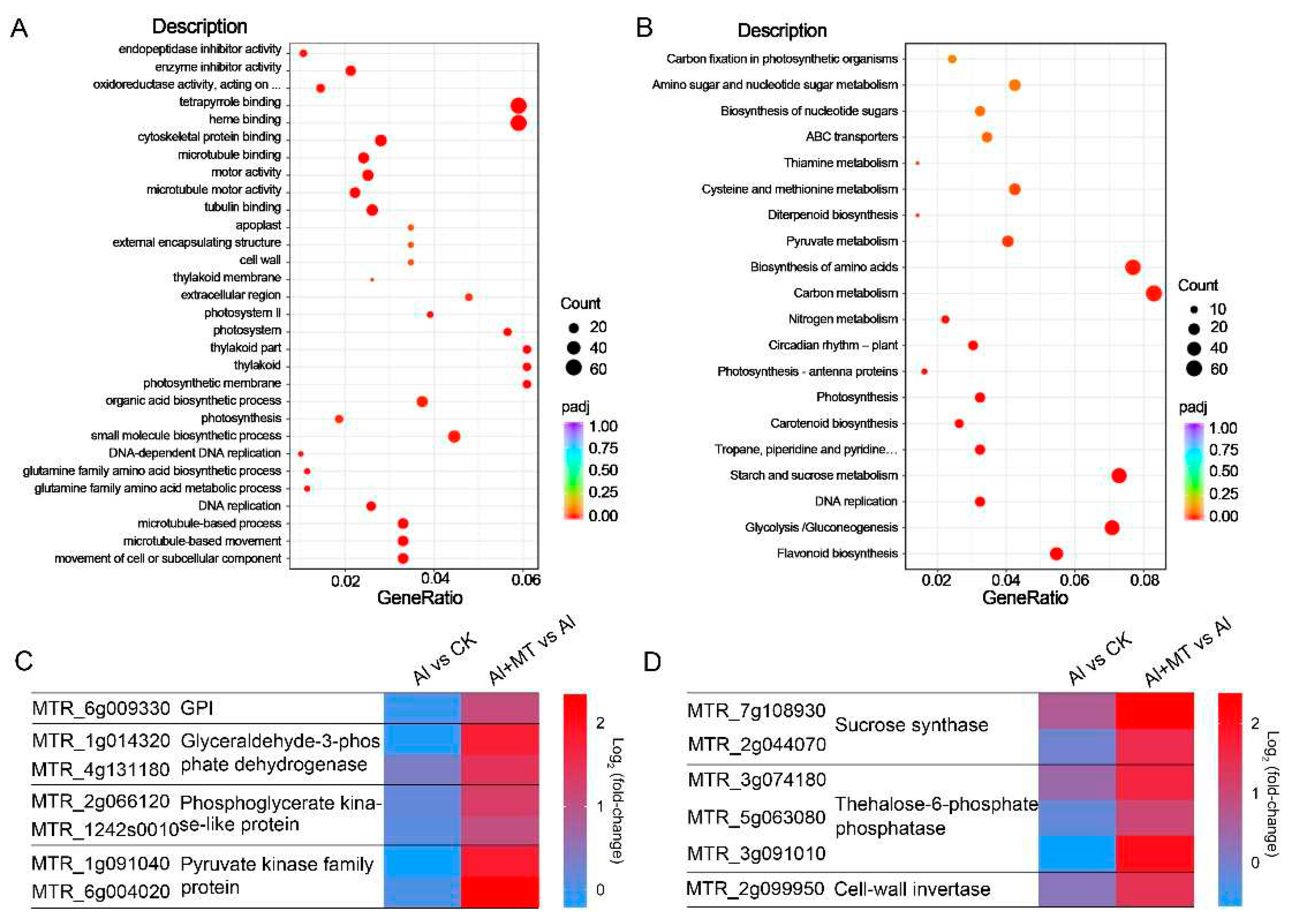 Preprints 89595 g006