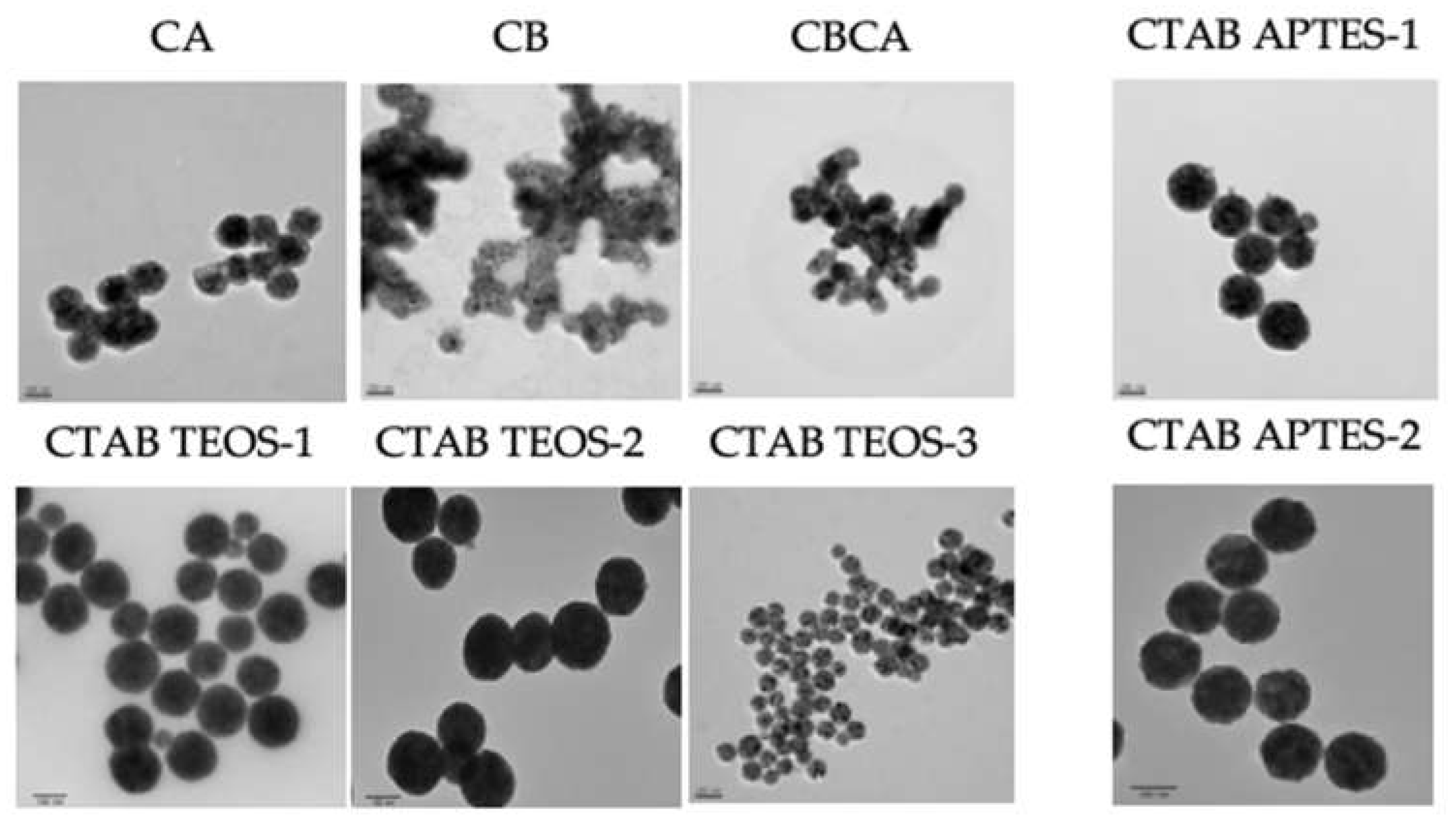 Preprints 107347 g006