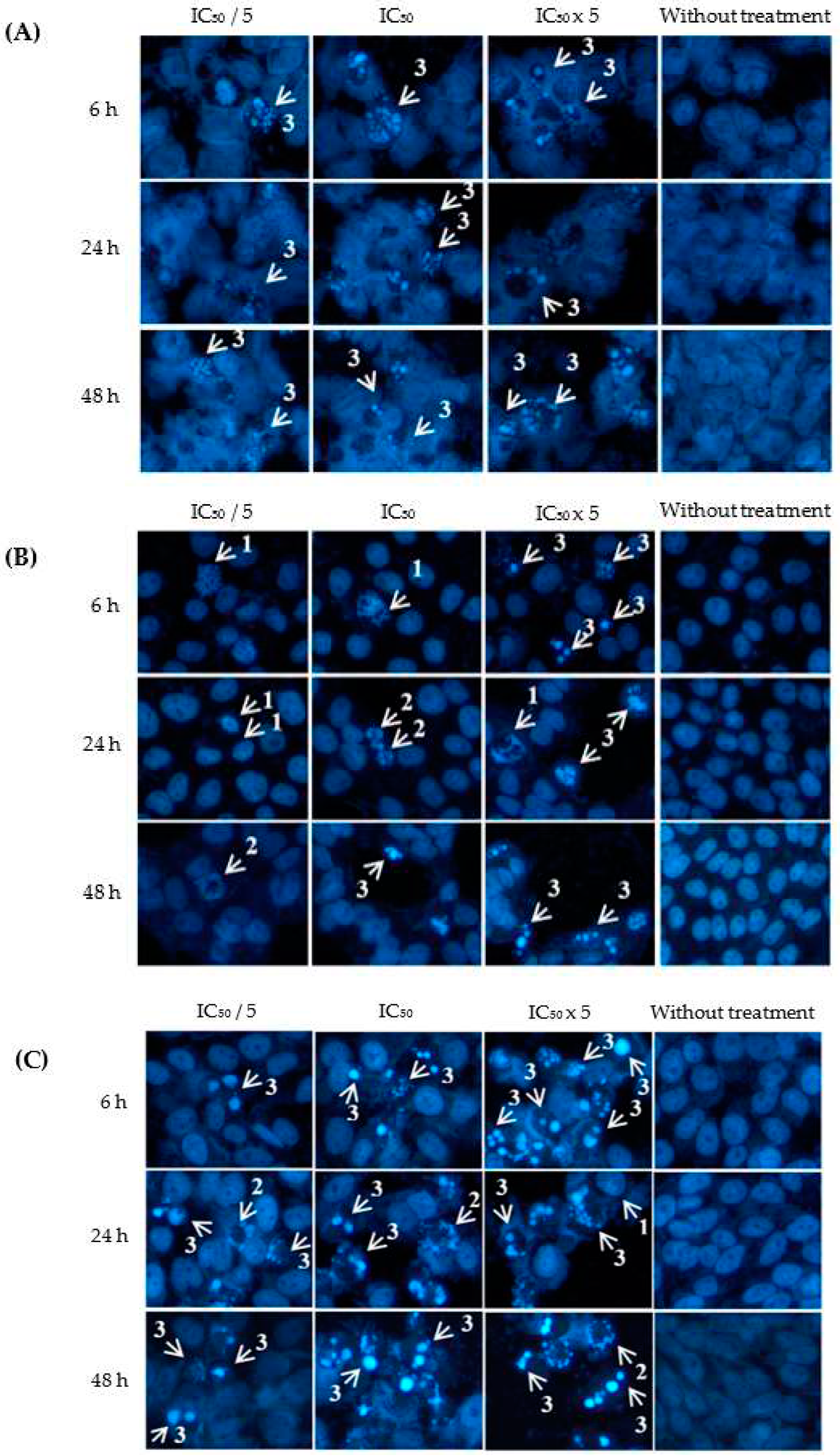 Preprints 74263 g003