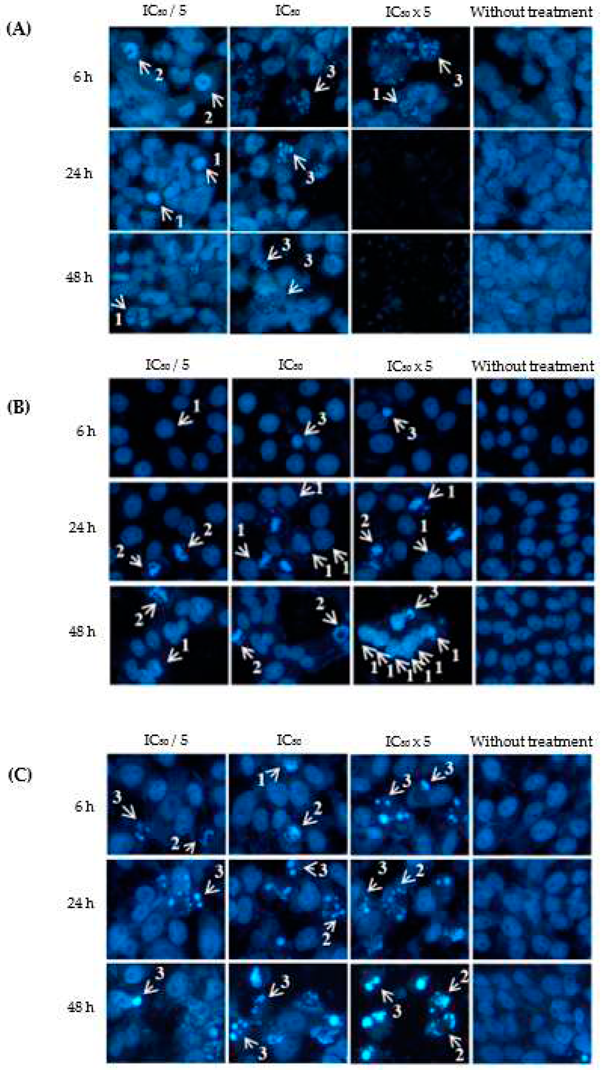 Preprints 74263 g004