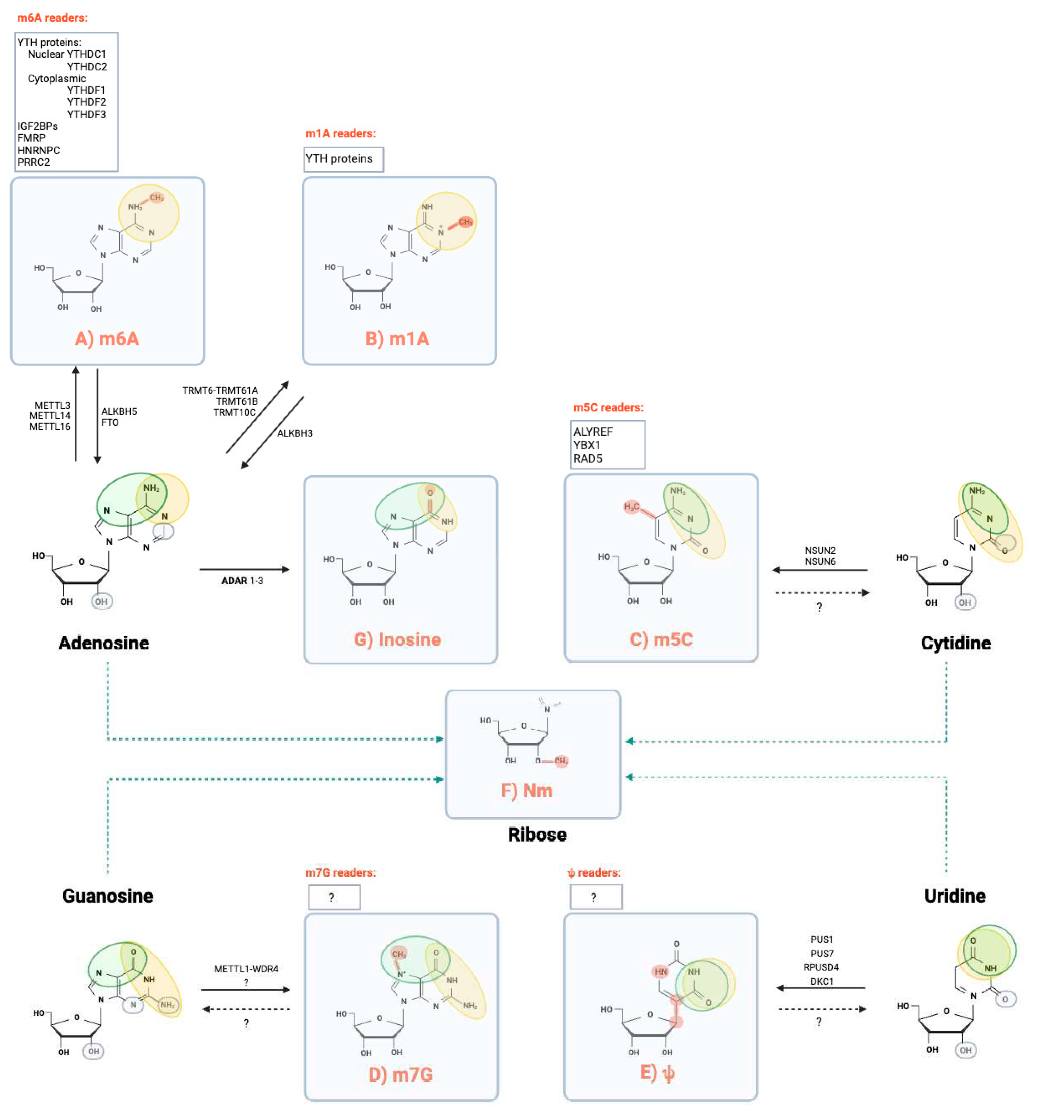 Preprints 85356 g001