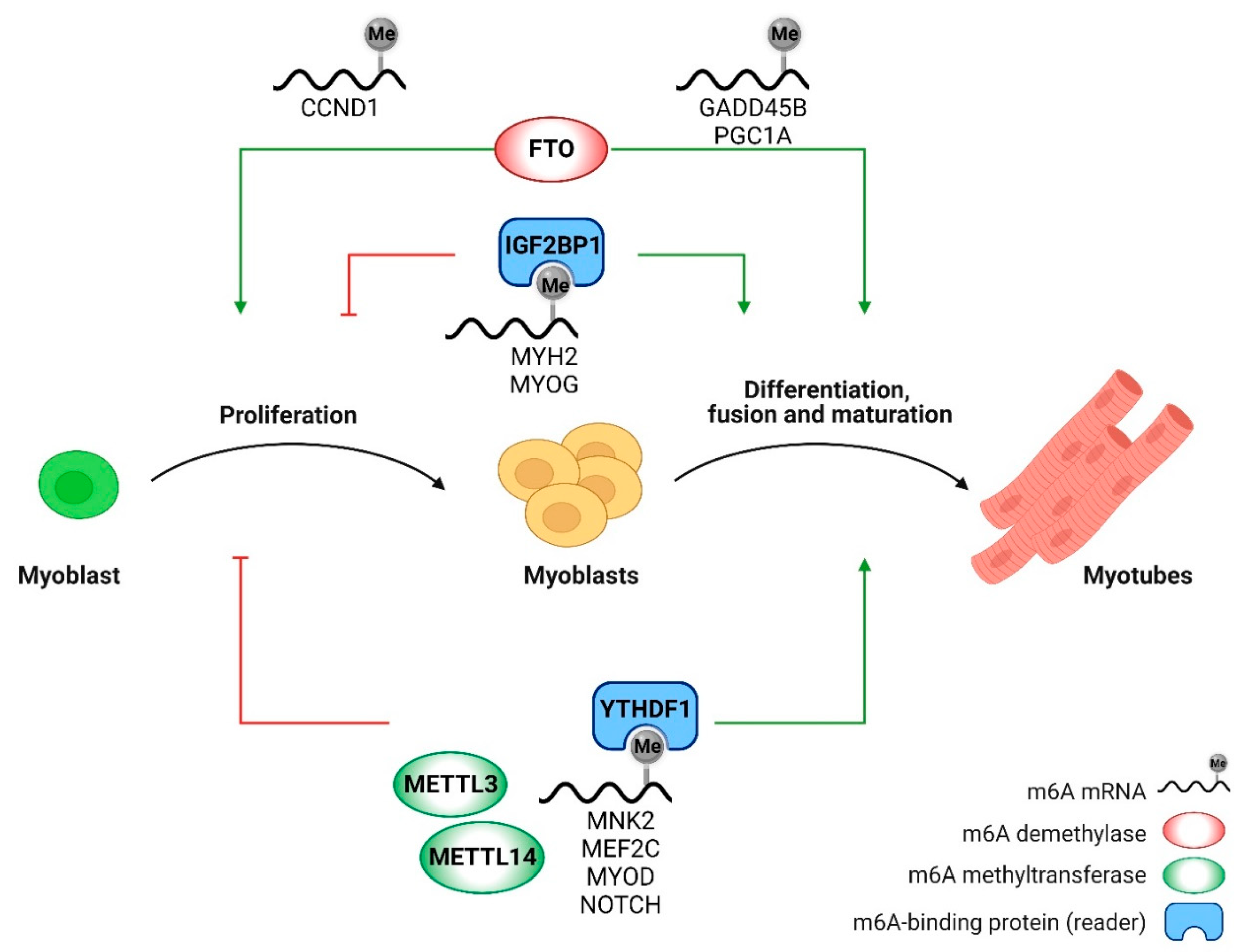 Preprints 85356 g002