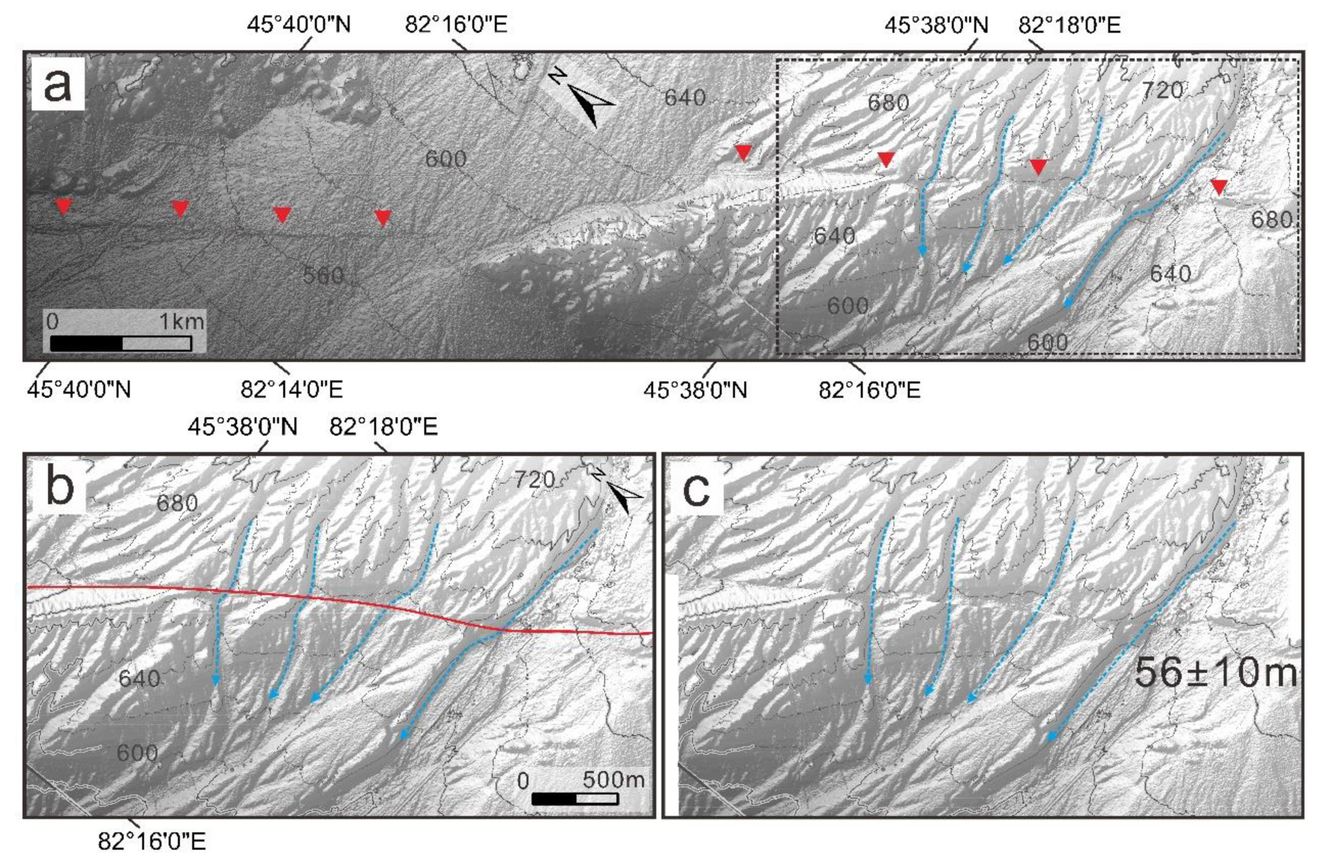 Preprints 105938 g010