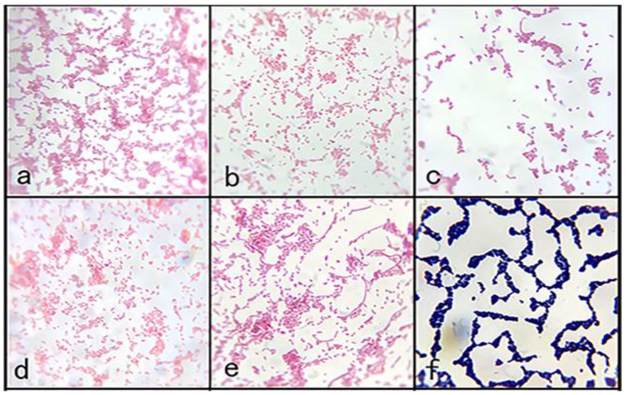 Preprints 106884 g003