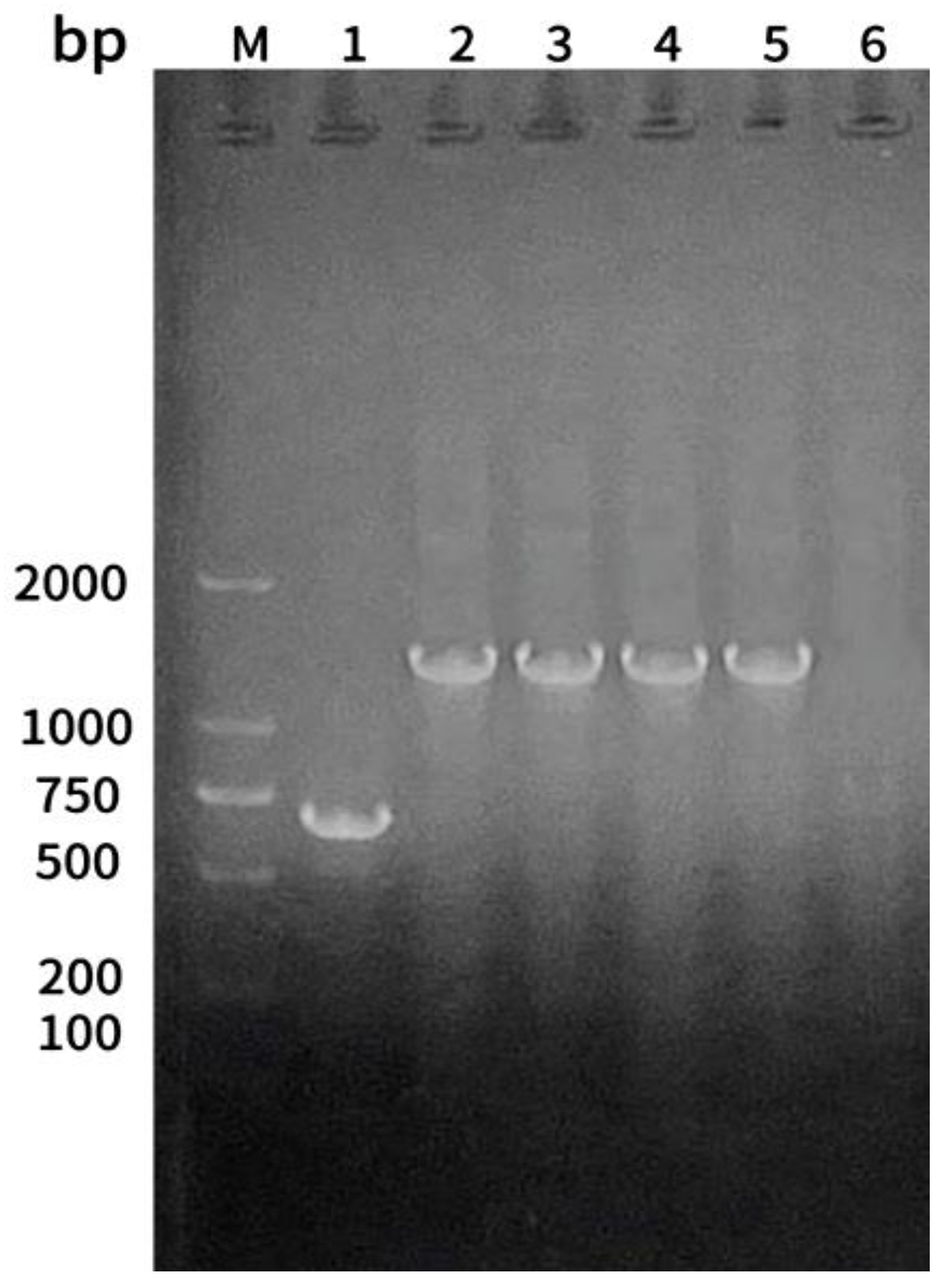 Preprints 106884 g004