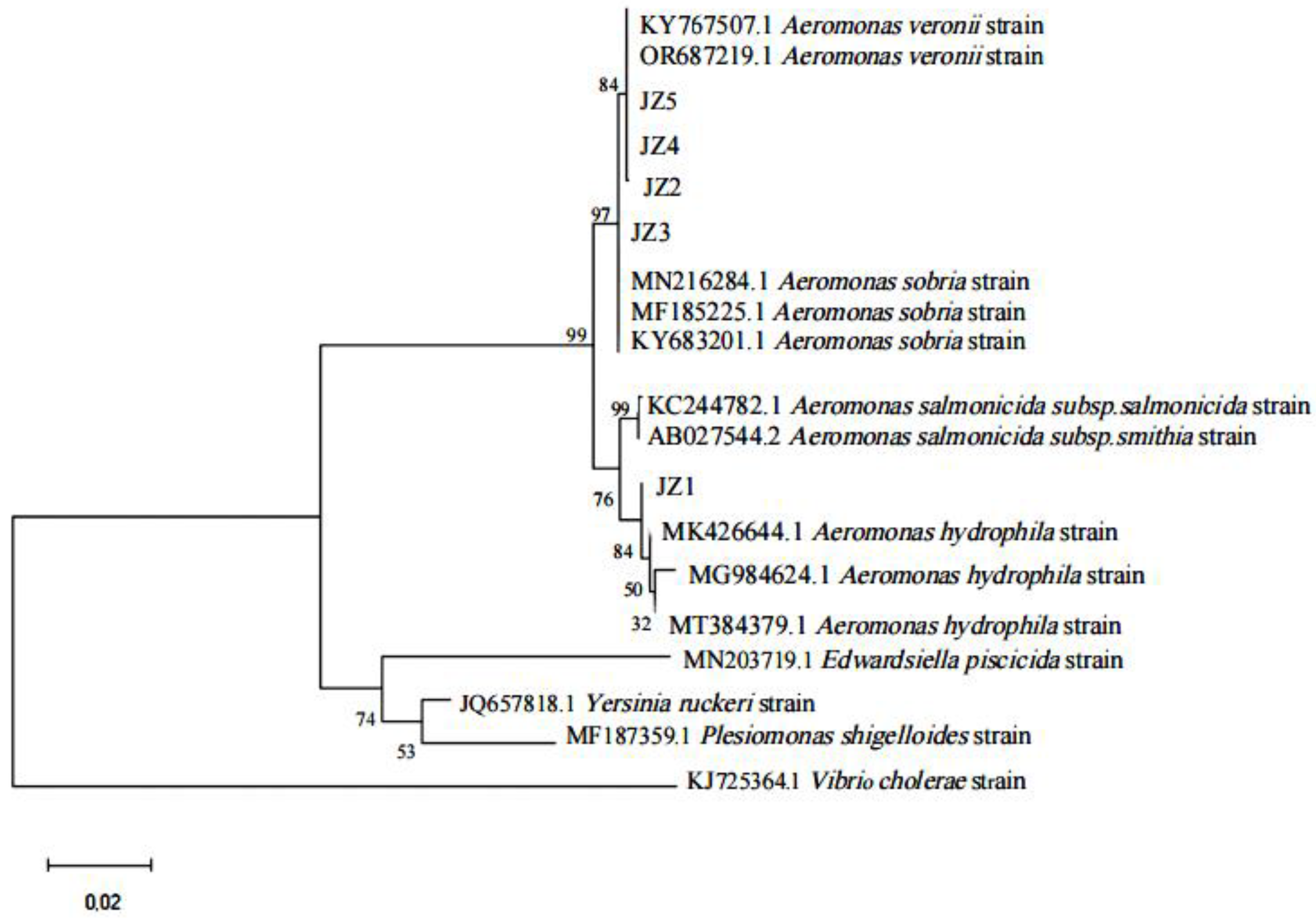 Preprints 106884 g005